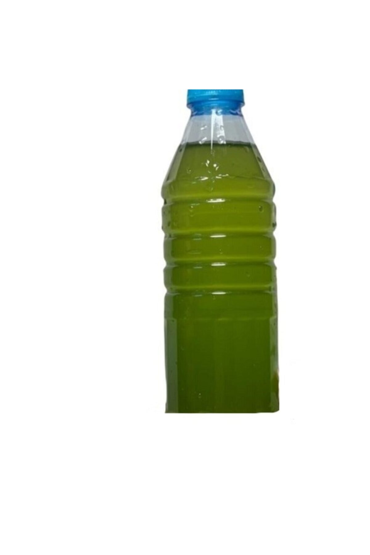 mesmerizingshopp Su Piresi Yemi Yeşil Su, 300 ml (FİTOPLANKTON KÜLTÜRÜ), Yeşil Su, Yeşil Su Su Piresi