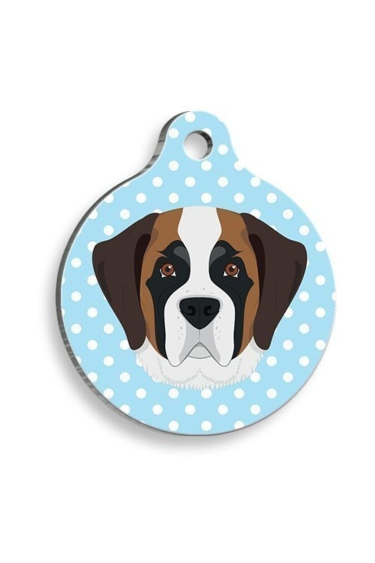 altın pati Mavi Puantiyeli Saint Bernard Yuvarlak Köpek Künyesi