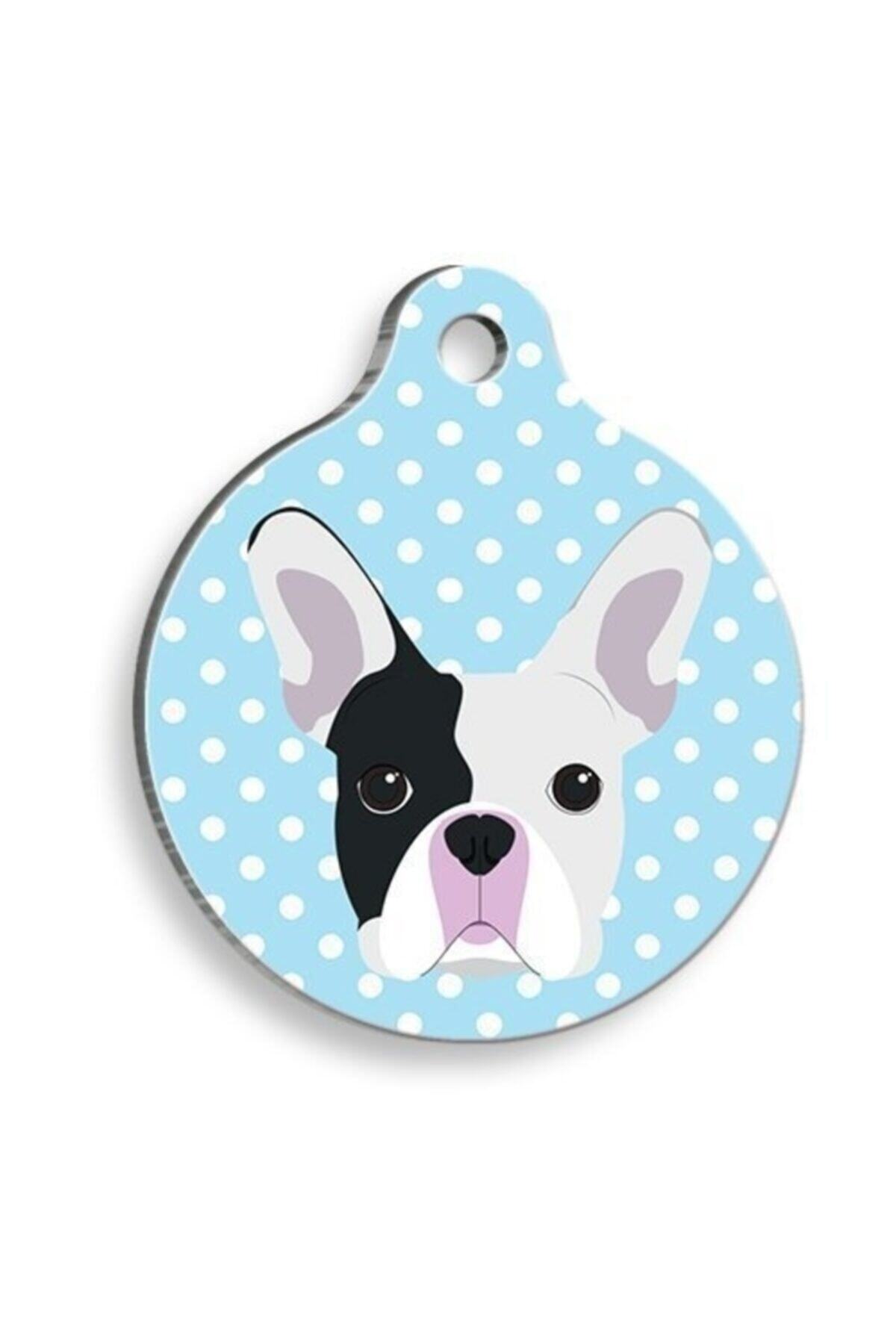 altın pati Mavi Puantiyeli Boston Terrier Yuvarlak Köpek Künyesi