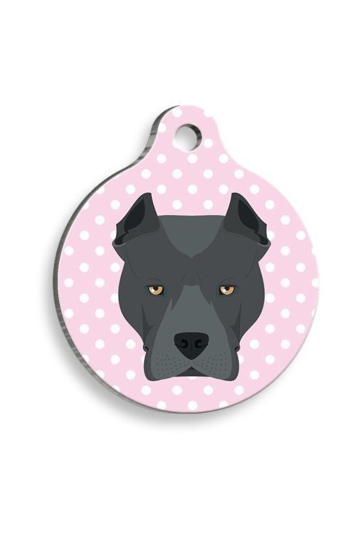 altın pati Pembe Puantiyeli Cane Corso Yuvarlak Köpek Künyesi