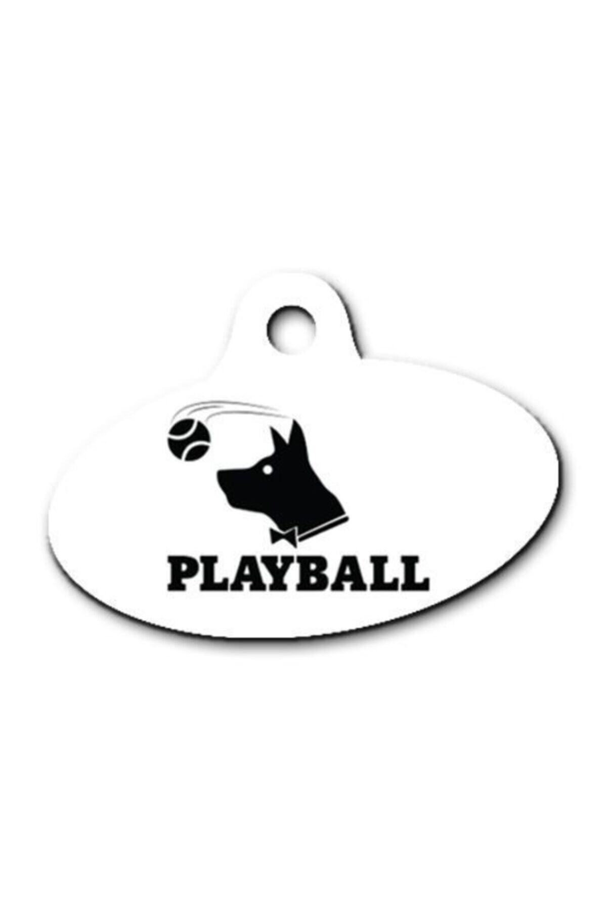altın pati Playball Elips Köpek Künyesi