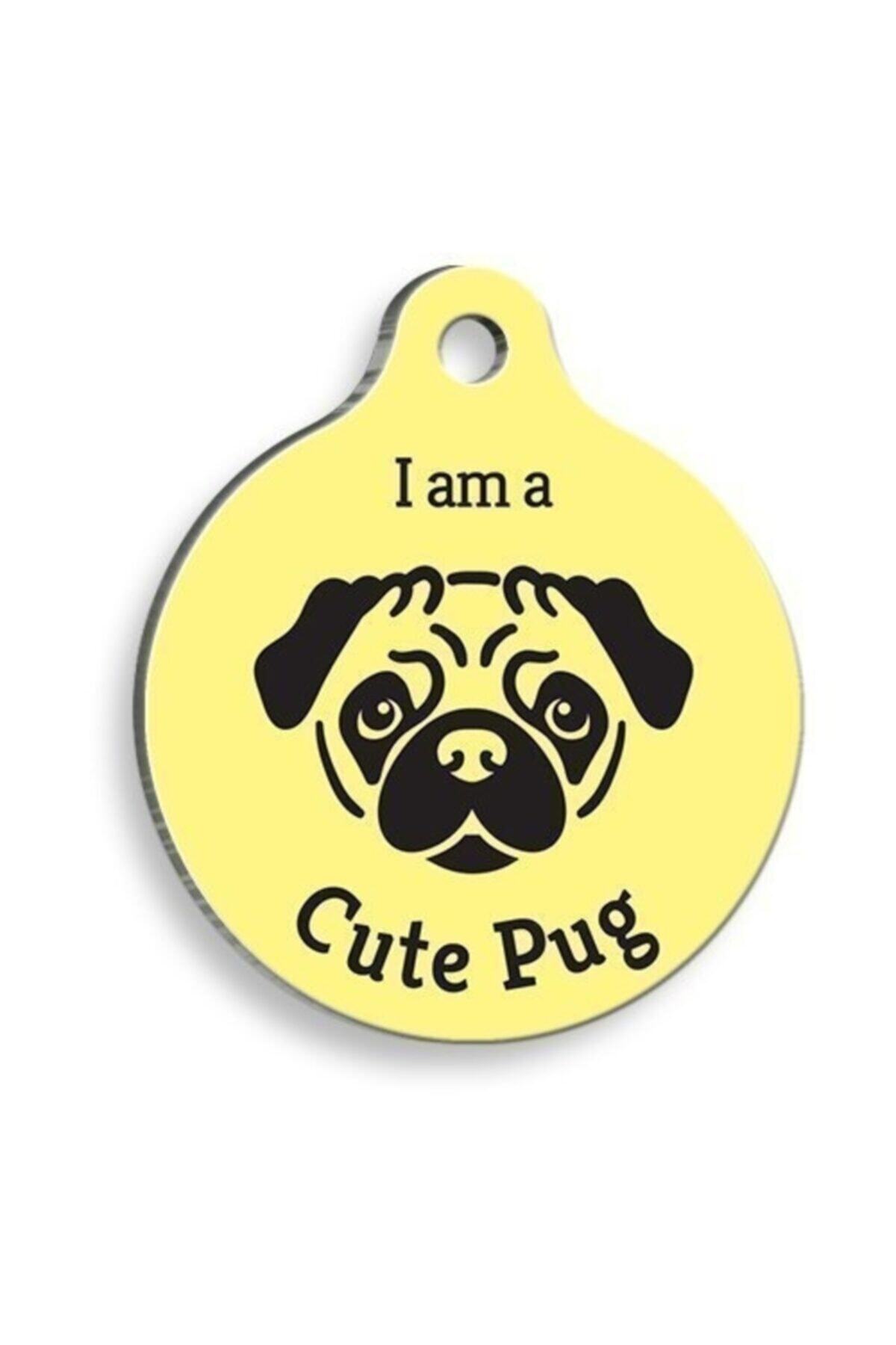 altın pati Sarı Pug Yuvarlak Köpek Künyesi