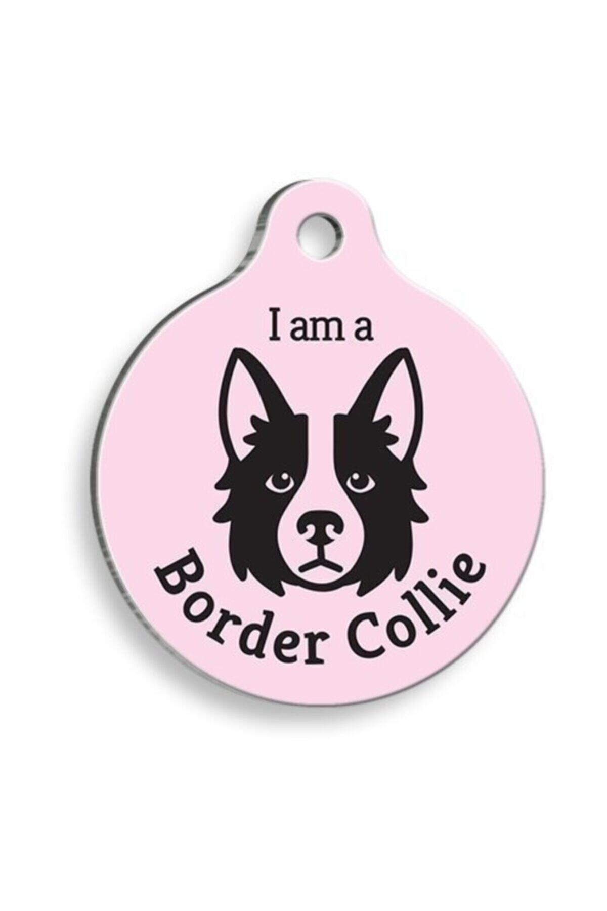 altın pati Pembe Border Collie Yuvarlak Köpek Künyesi