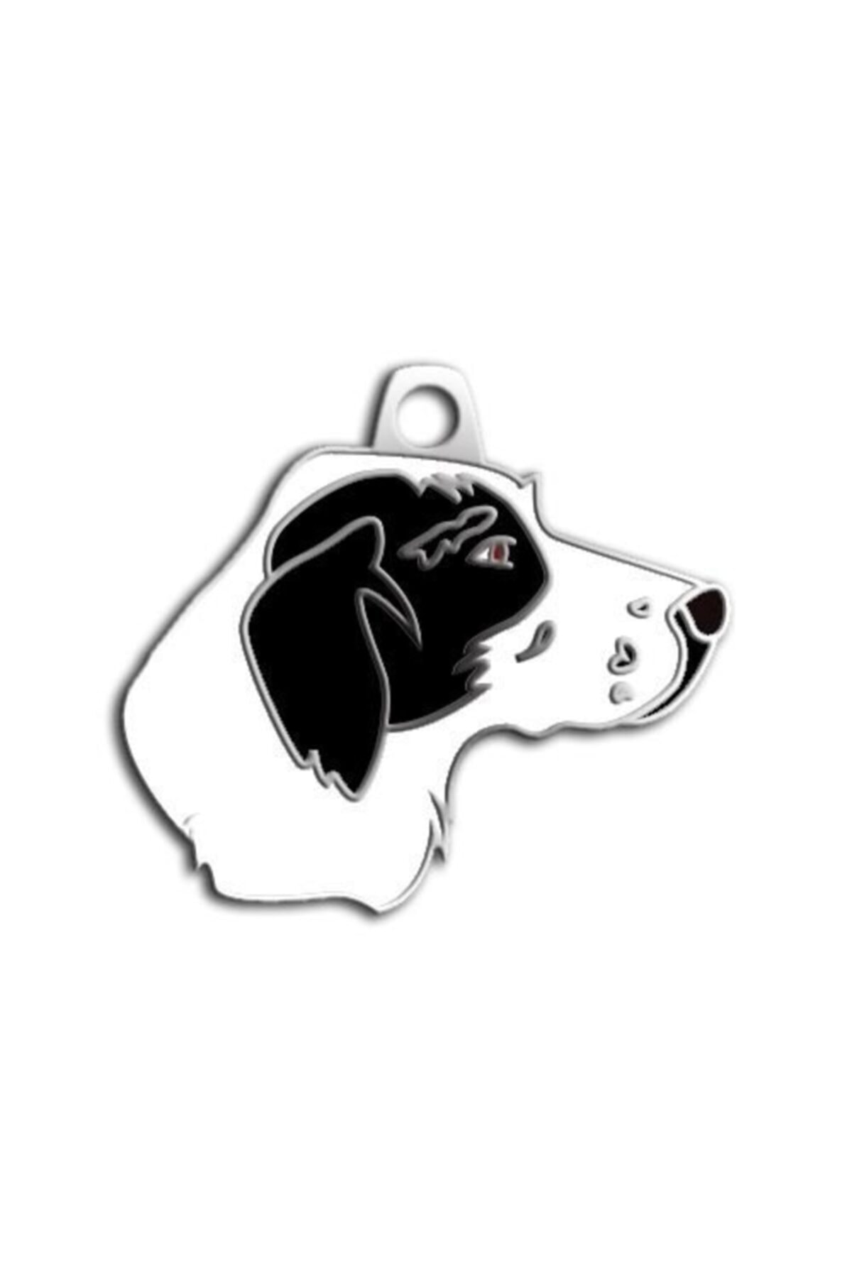 altın pati Pointer Köpek Künyesi (siyah Beyaz)