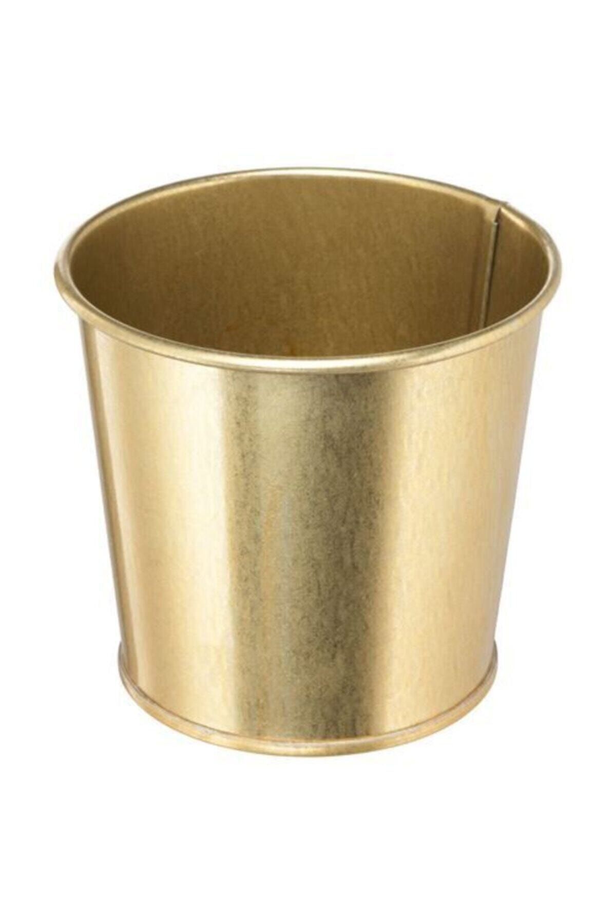ZUZU MADE Gold Renk Saksı Daıdaı Galvanizli Çelik Saksı Bahçe Bitki 9 cm Pirinç Rengi