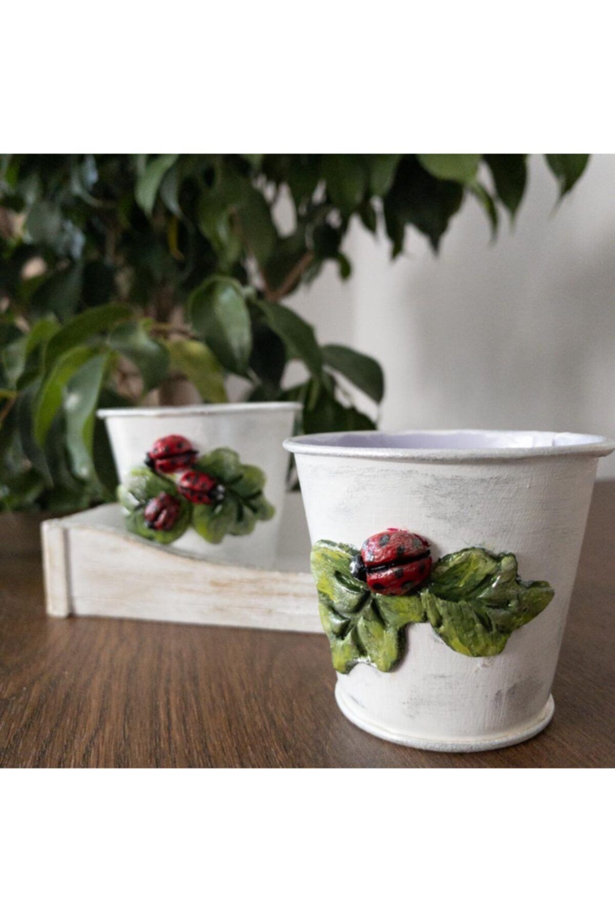 Tofy Artdesign Kasalı Sukulent Saksı Seti (UĞUR BÖCEĞİ SÜSLEMELİ), El Yapımı Saksı, Sukulent Saksısı