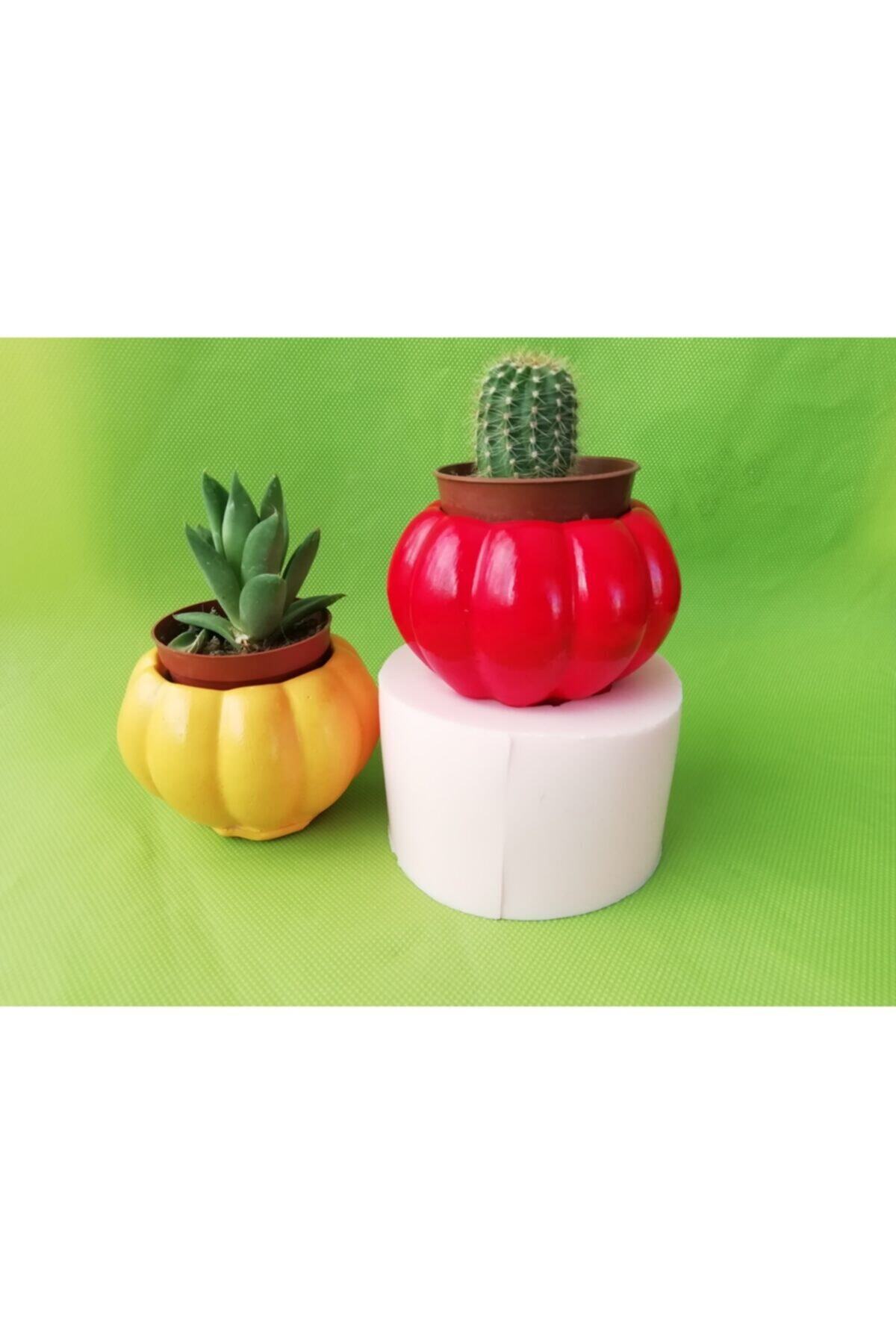 AnkaHobiMarket Balkabağı Saksı Silikon Kalıp