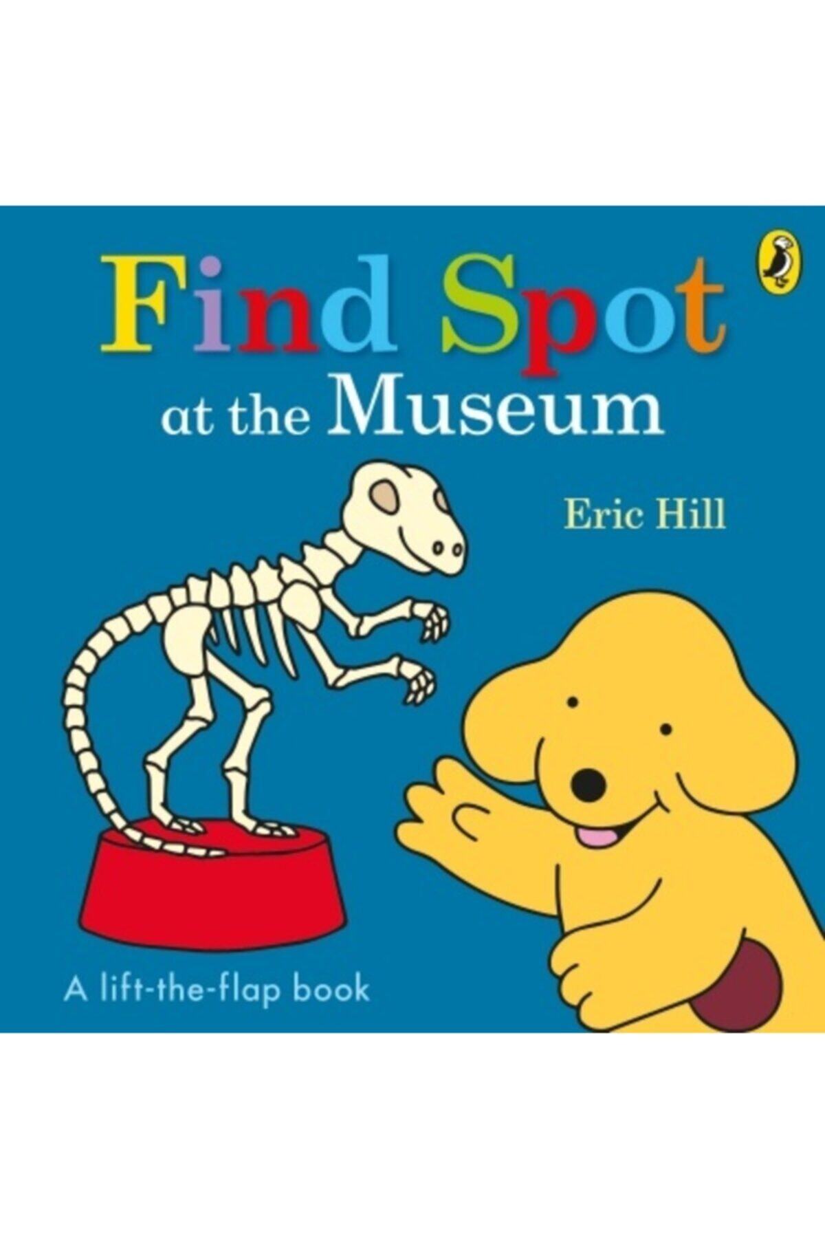 PENGUİN Find Spot At The Museum A Lift The Flap Book Eric Hill