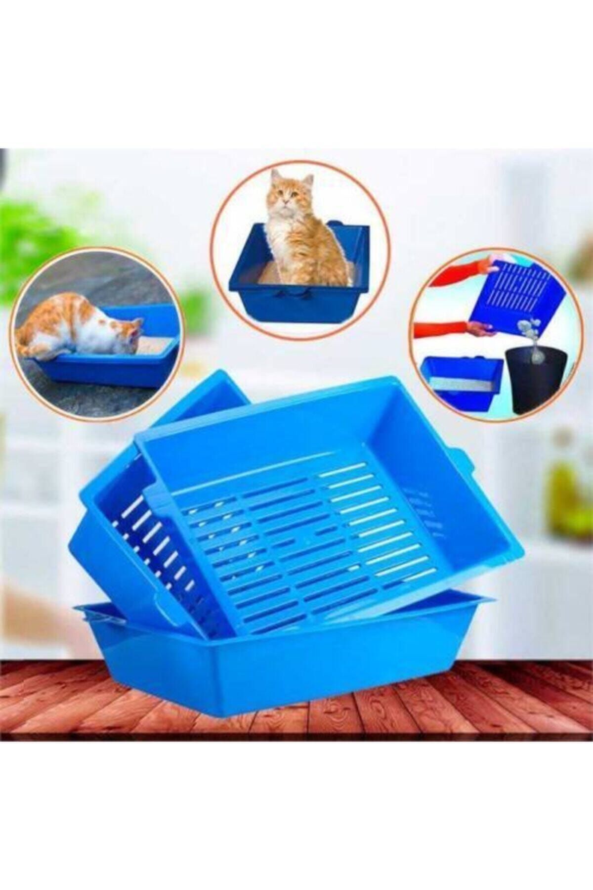 İki Kedi Kedi İçin 3 Elekli Kedi Tuvaleti