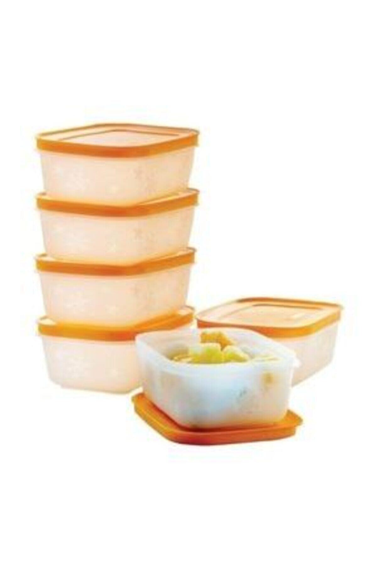 Tupperware Alaska Buzdolabı Saklama Kabı 450 ml 6'lı