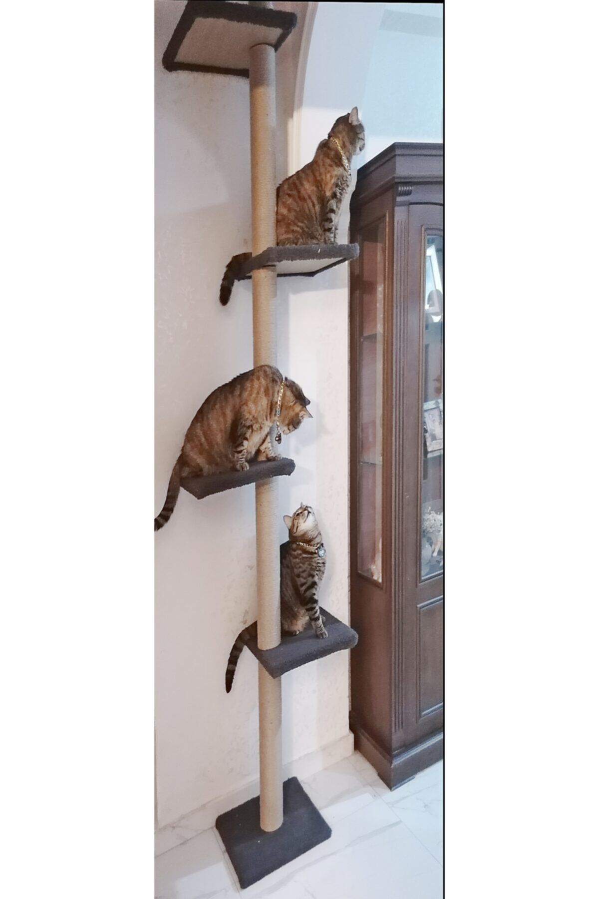 Turkuaz Tırmalama Tavan Boyu Kule Kedi Evi Tırmalama Tr2001 Antrasit