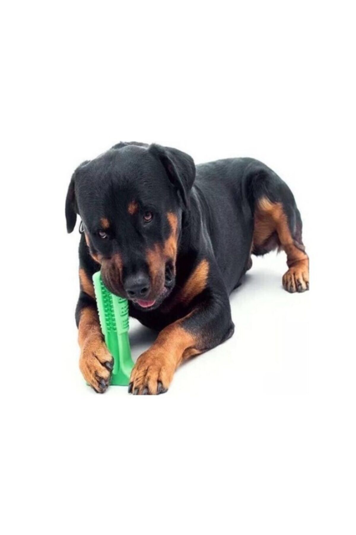 CMT Köpek Çiğneme Diş Temizleme Oyuncağı