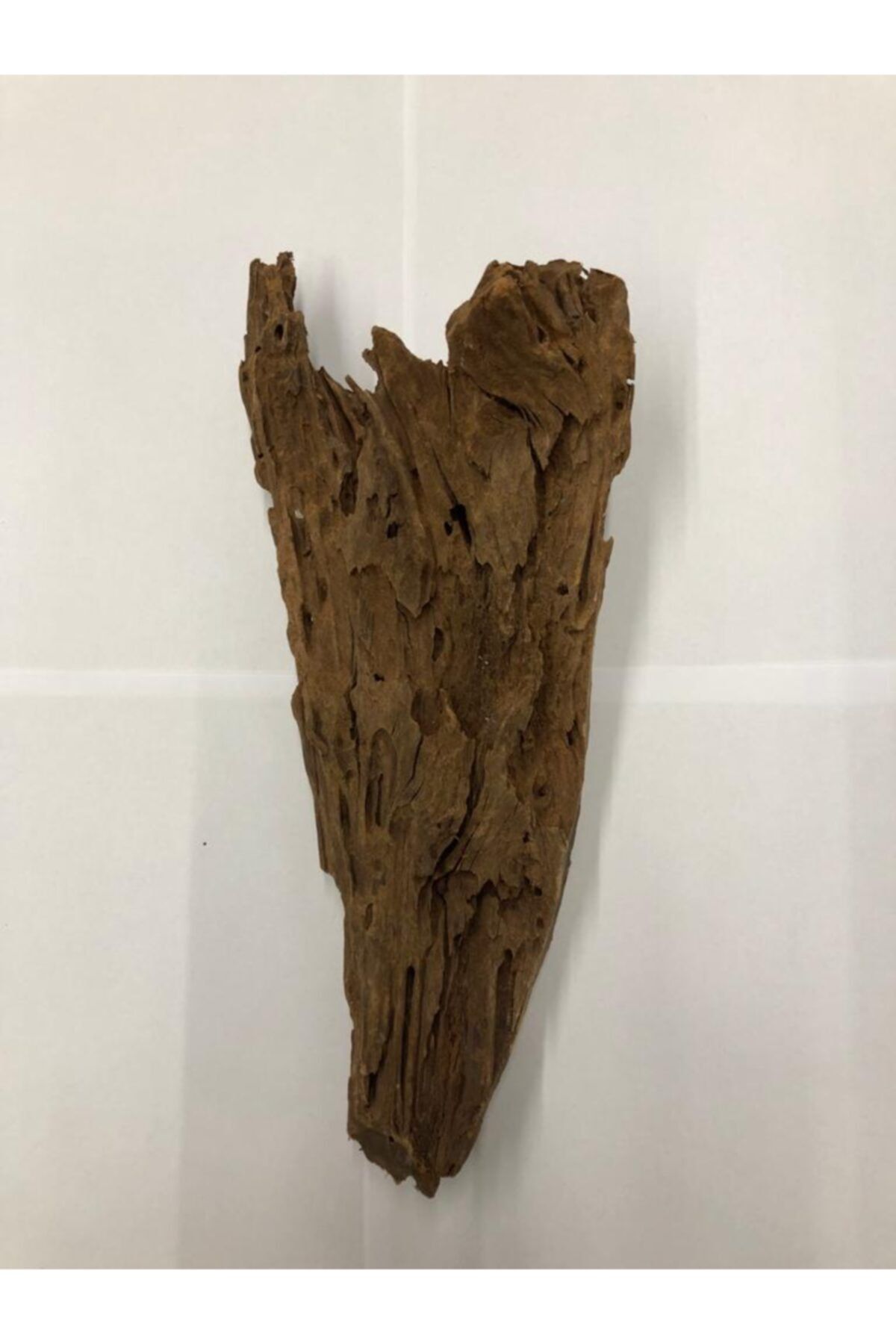 Xinyou Mangrow Kökü M Boy 28cm
