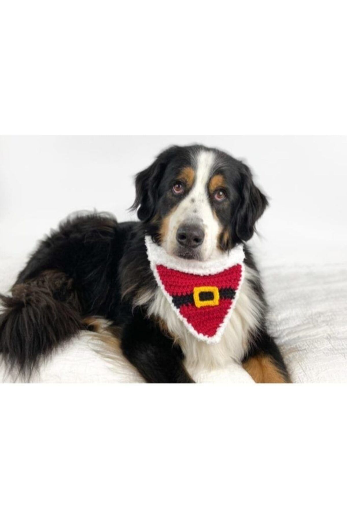 BurDen Dekoratif Ürünler & Tasarım Yılbaşı Noel Fular, Köpek Tasması , Aksesuar, Pet Fashion , Tasarım