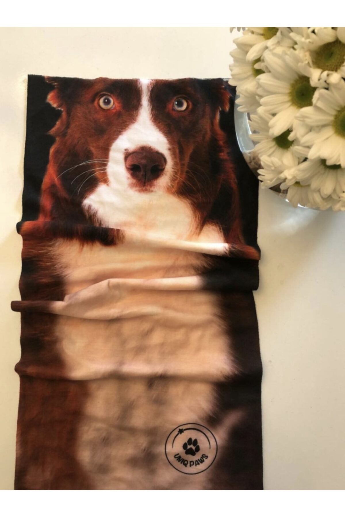 uniqpaws Unıqpaws 3d Boyutlu Boyunluk / Maske / Balaklava/ Bandana Border Collie Köpek Resimli