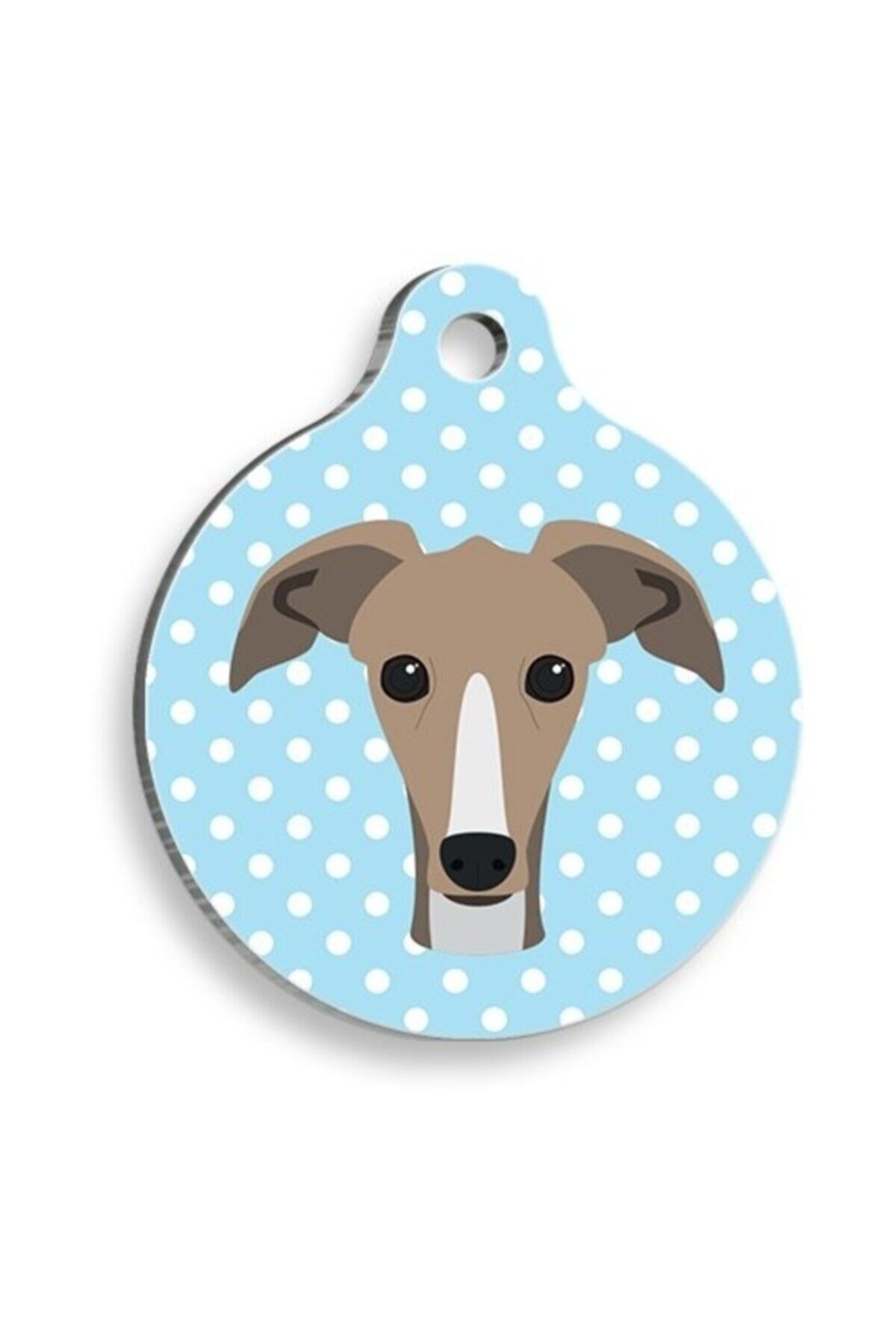 altın pati Mavi Puantiyeli Greyhound Tazı Yuvarlak Köpek Künyesi