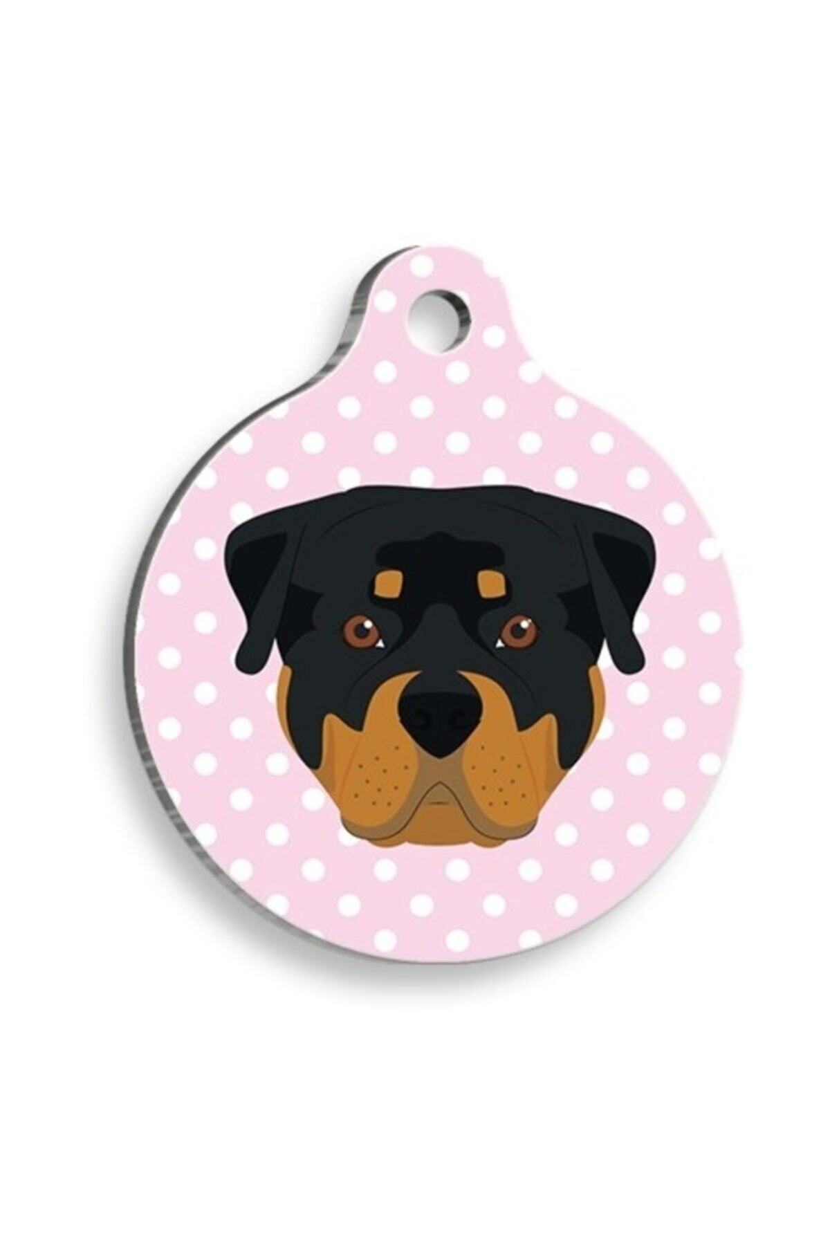 altın pati Pembe Puantiyeli Rottweiler Yuvarlak Köpek Künyesi