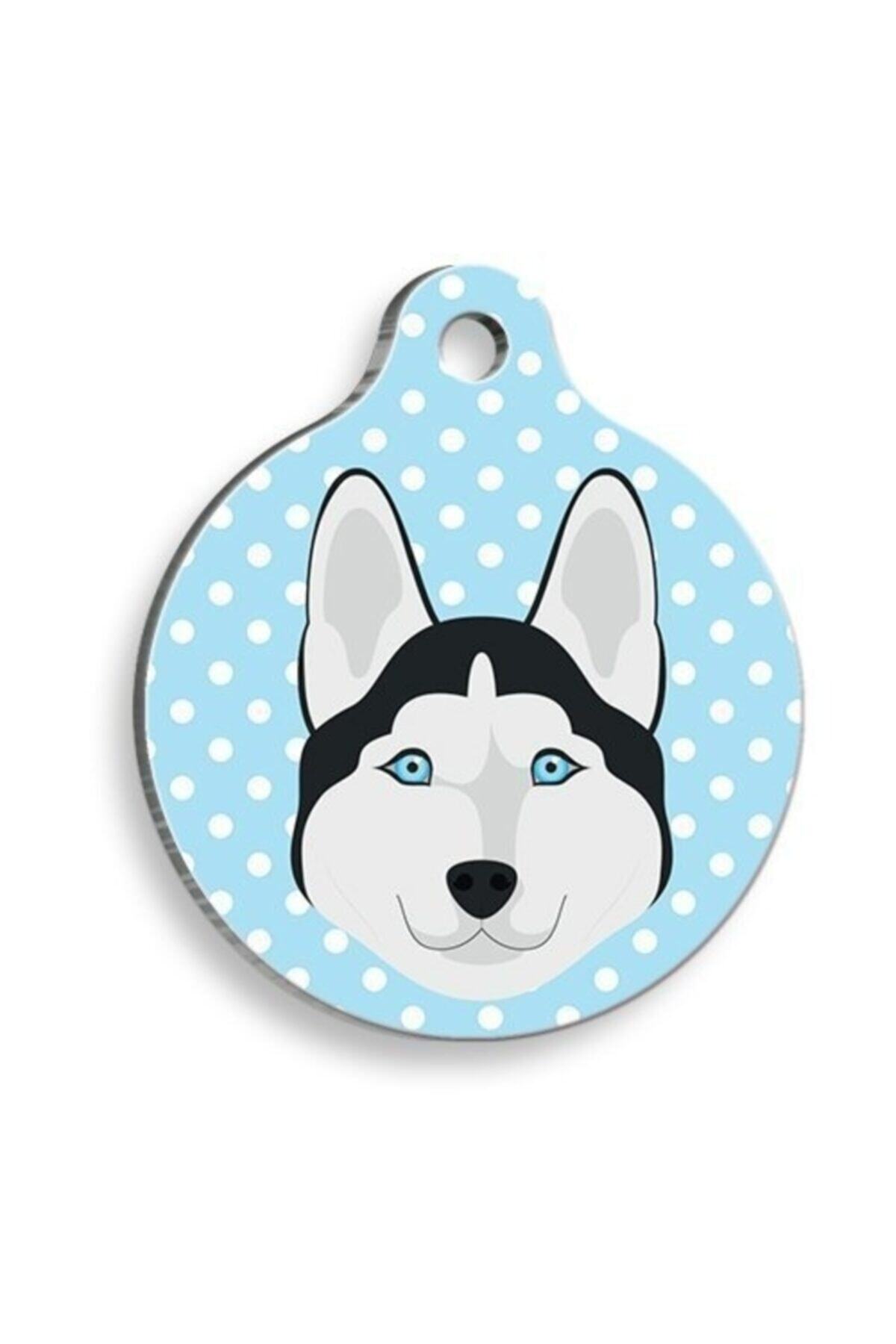 altın pati Puantiyeli Mavi Husky Yuvarlak Köpek Künyesi