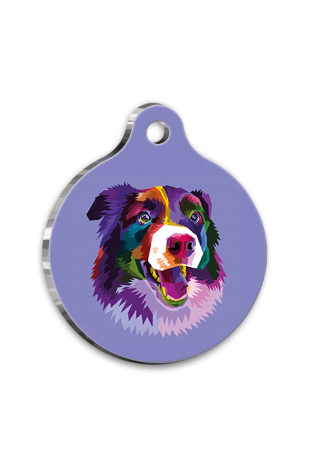 altın pati Pop Art Illüstrasyon Border Collie Yuvarlak Köpek Künyesi