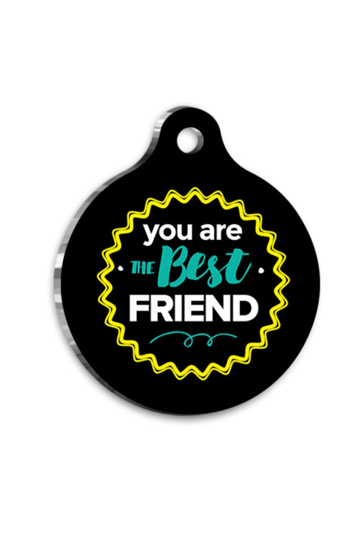altın pati Siyah Best Friend Kedi Köpek Künyesi