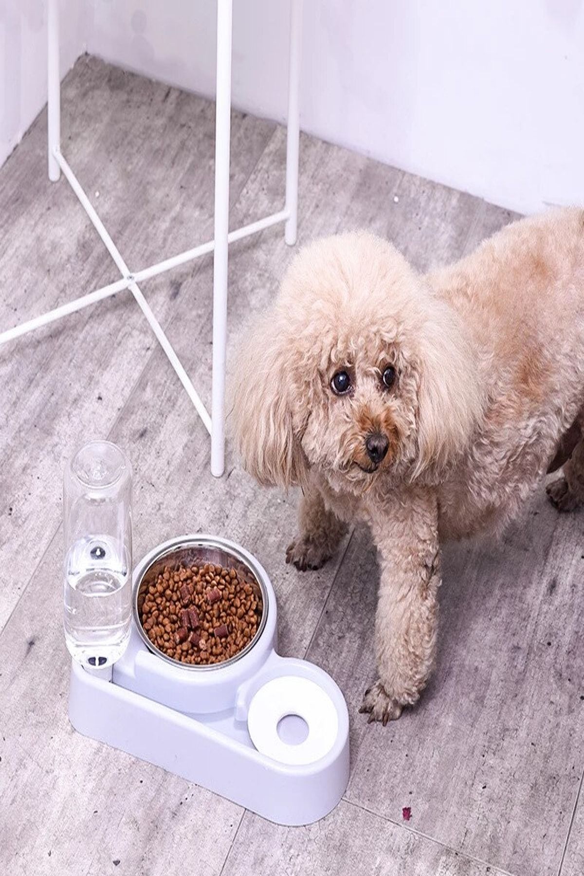 Kamardey Kedi Ve Küçük Irk Köpek Için Mama Ve Otomatik Su Kabı