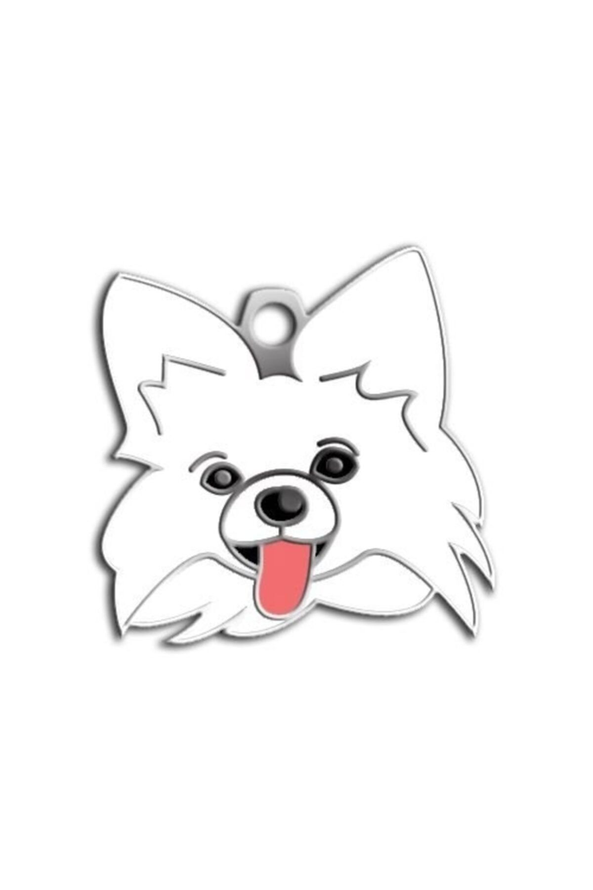 altın pati Papillon Köpek Künyesi (beyaz)