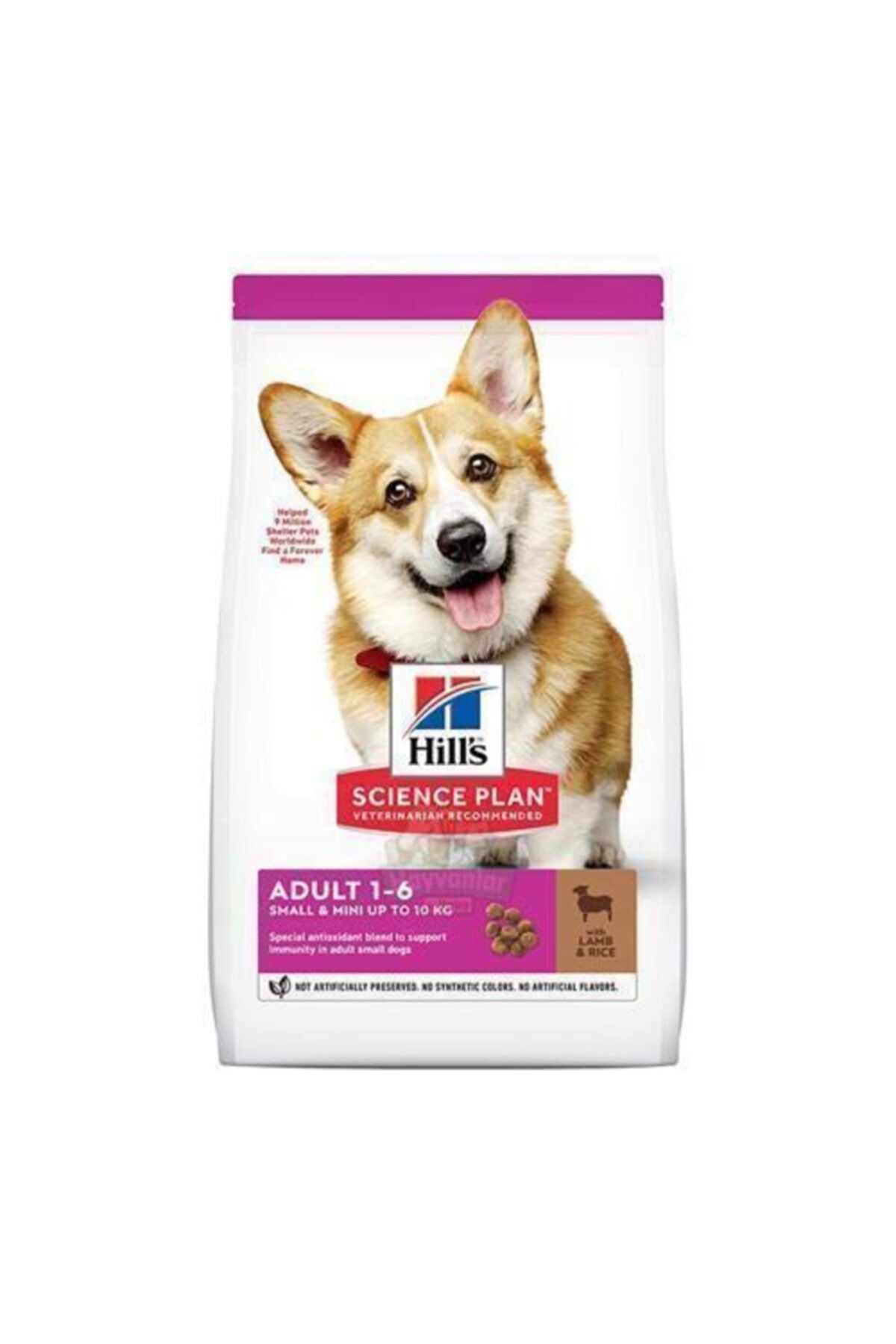 Hills Science Plan Hills Kuzu Etli Küçük Irk Yetişkin Köpek Maması 6 Kg