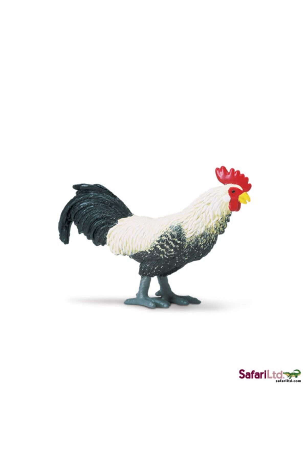 Safari Horoz-tavuk