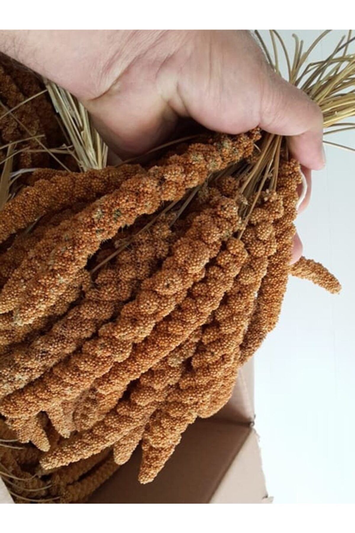 Doğal Kızıl Dal Darı 100 Gr