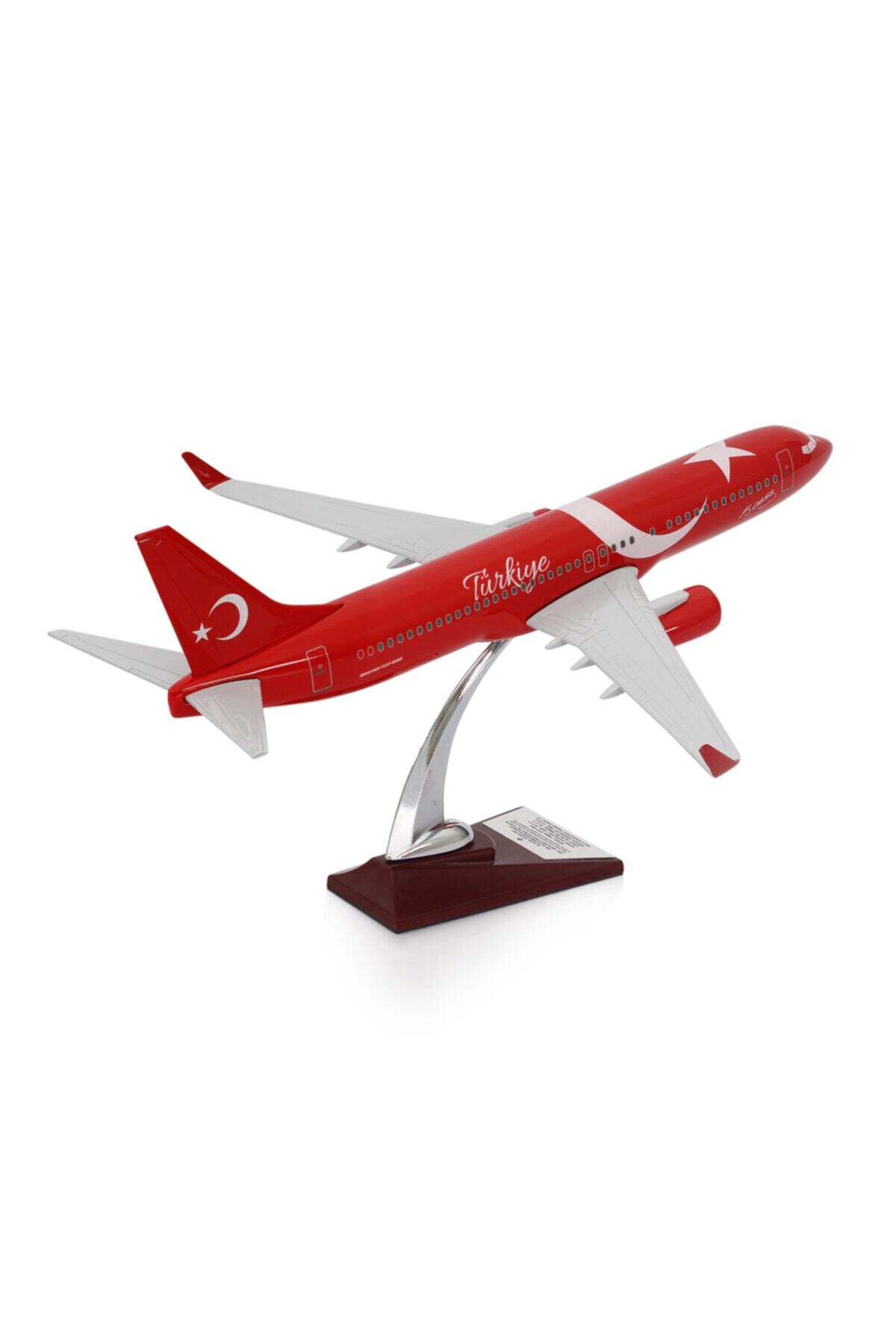 zekupp Boeing 737-800 Türkiye Özel Tasarımlı 1/100 Maket Uçak, Model E