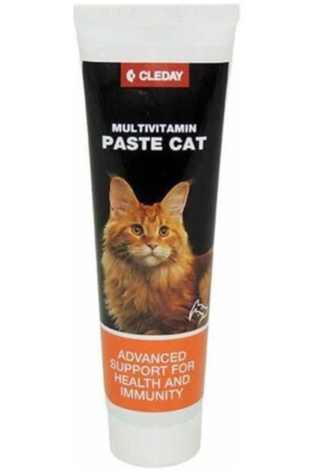 PETJOB EVCİL HAYVAN ÜRÜNLERİ Cleday Multivitamin Cat Paste Kediler Için Multivitamin Macun 100gr