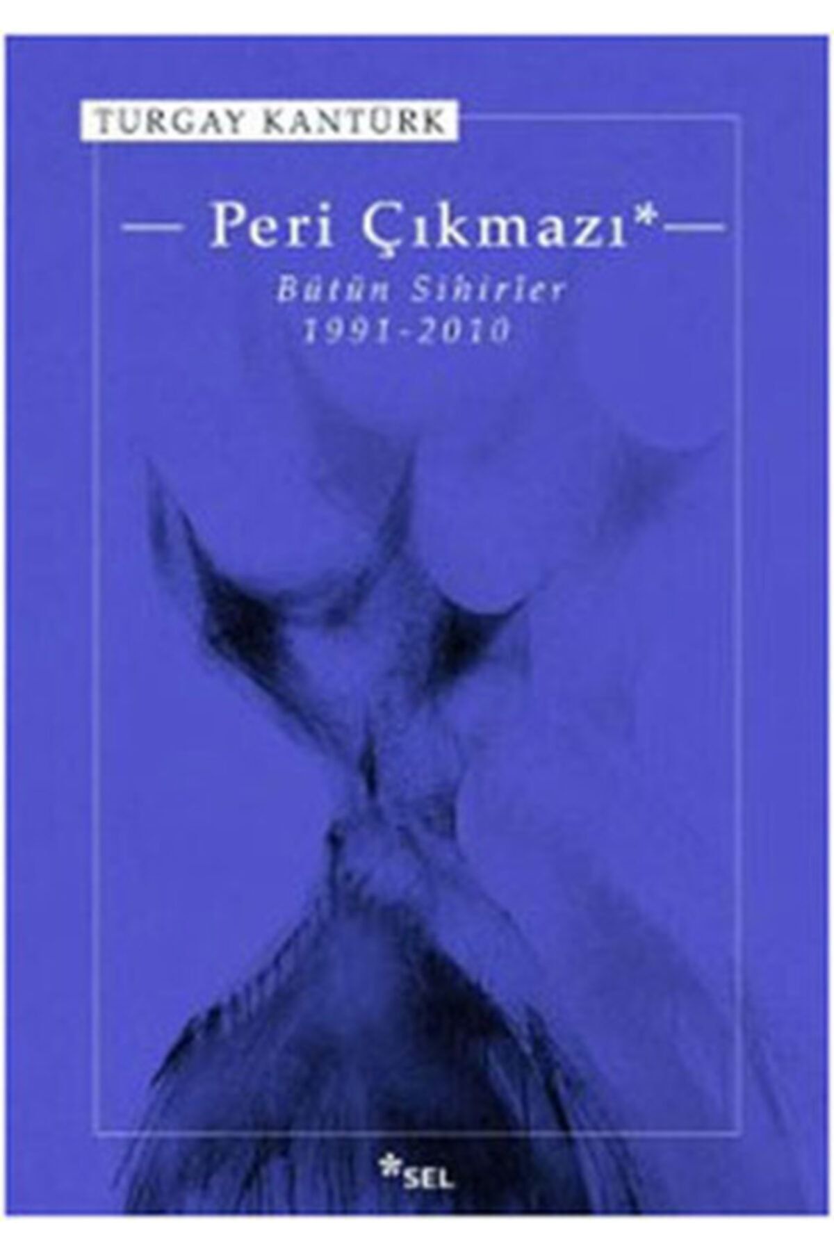 Sel Yayınları Peri Çıkmazı