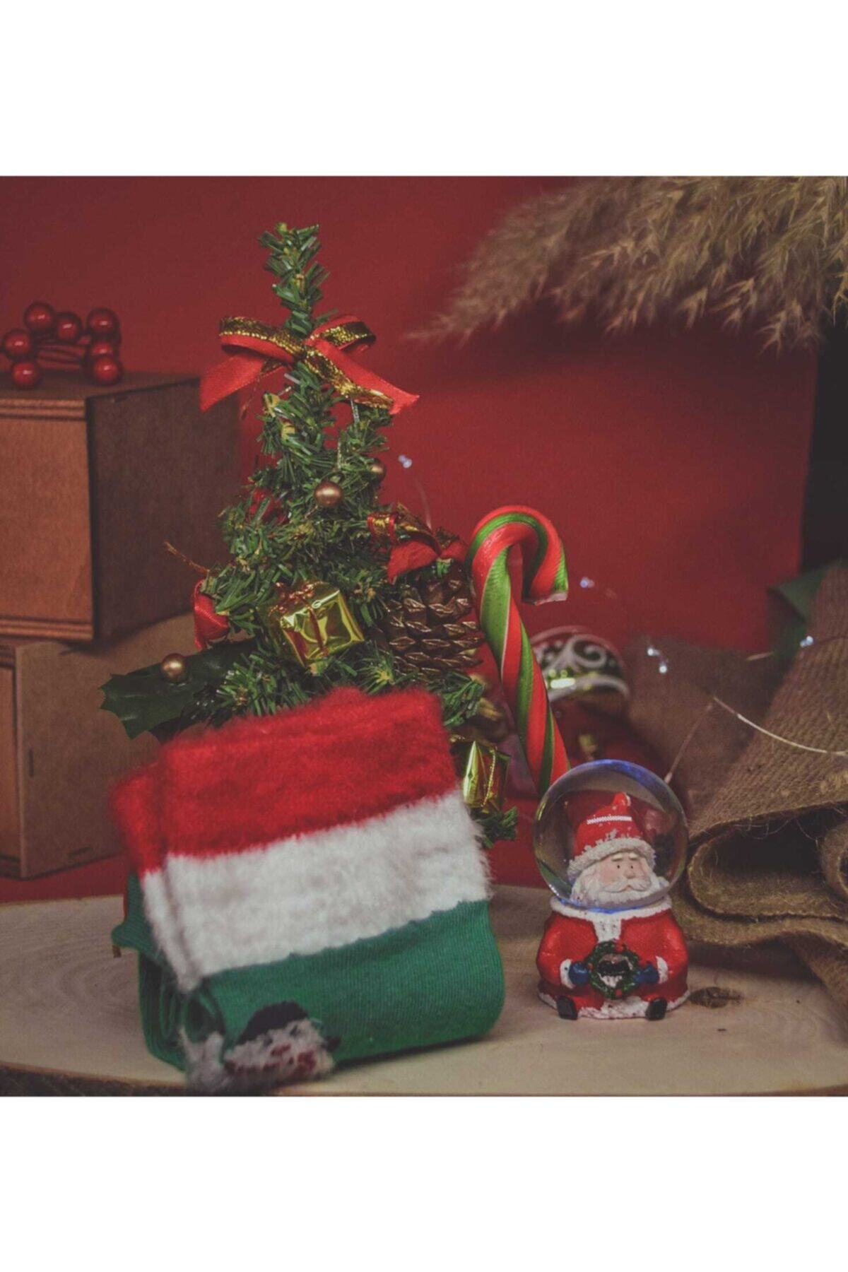 GreenSeeHediye Yılbaşı Özel Çam Ağacı & Yılbaşı Temalı Çorap & Noel Baba Kar Küresi& Kırmızı Kupa & Baston Şeker