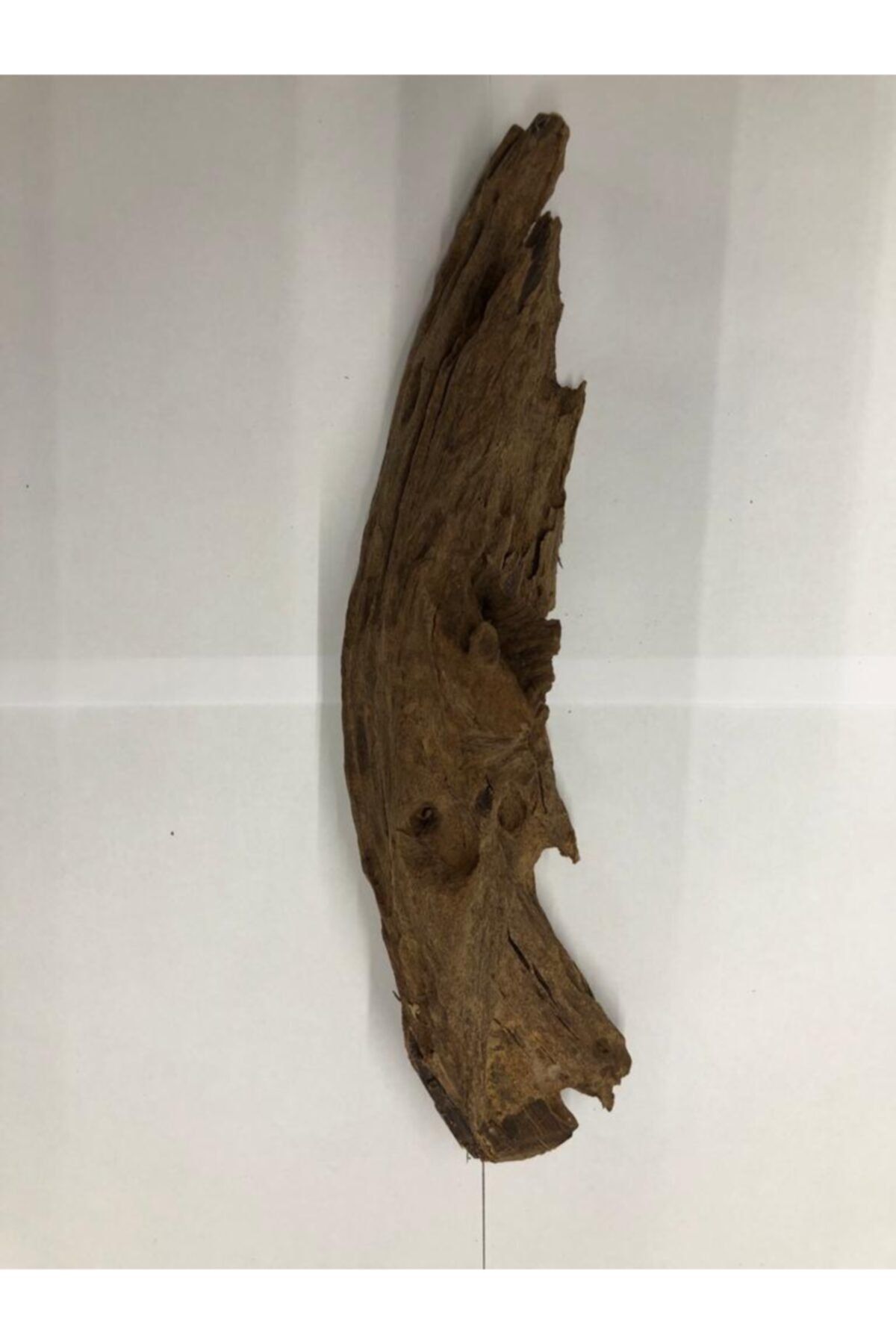 Xinyou Mangrow Kökü M Boy 29cm