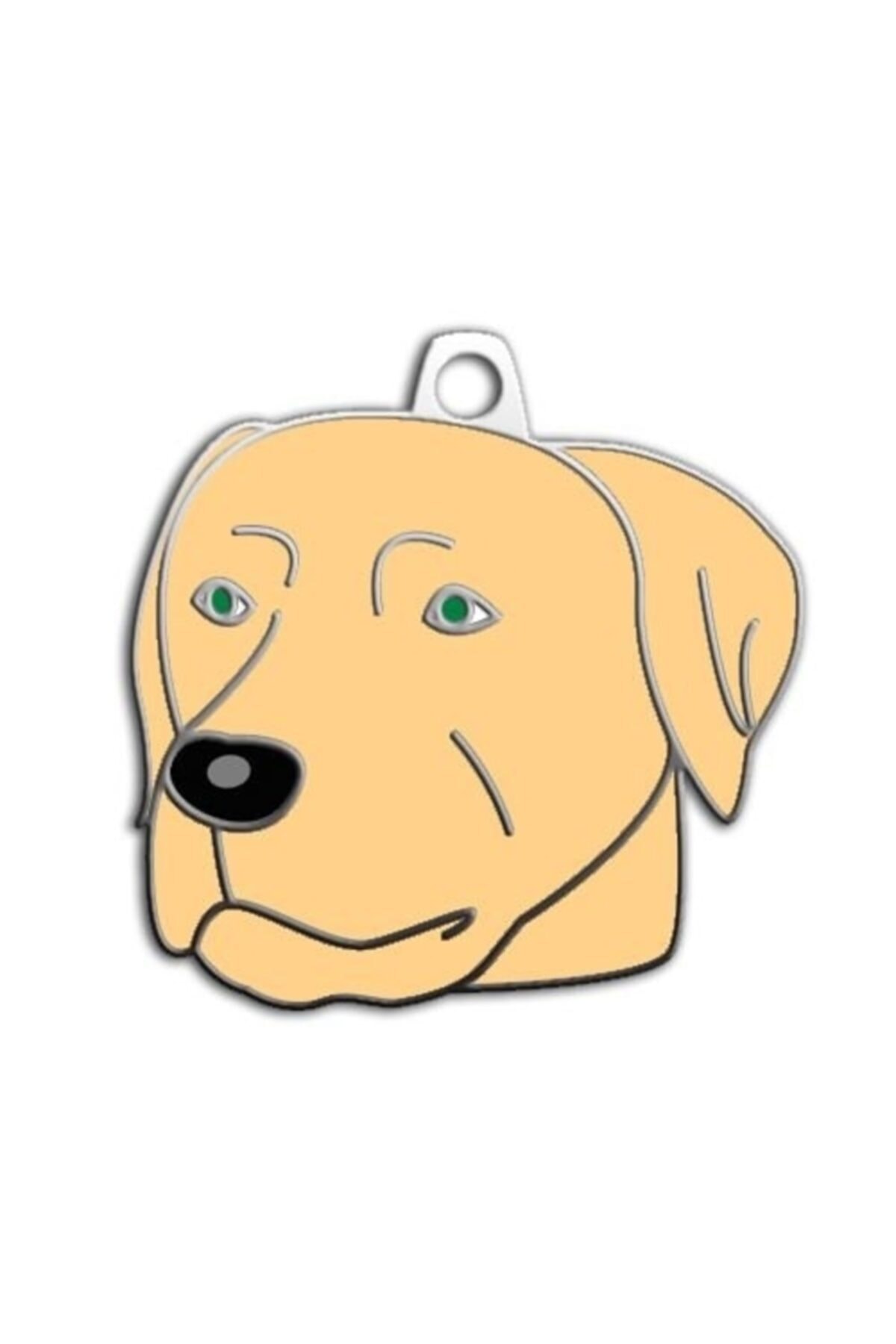 altın pati Şampanya Labrador Köpek Künyesi
