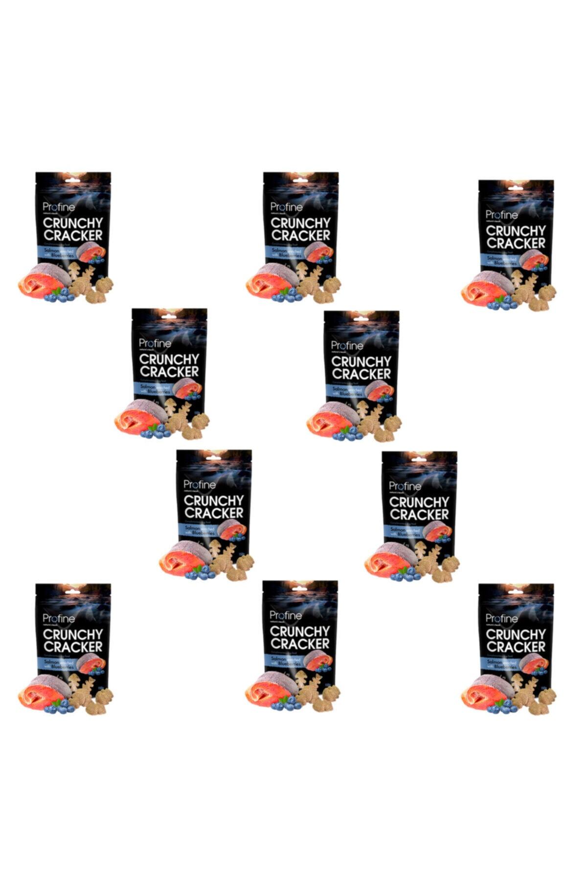Profine Somon Etli 150gr Köpek Kıtır Kraker 10adet