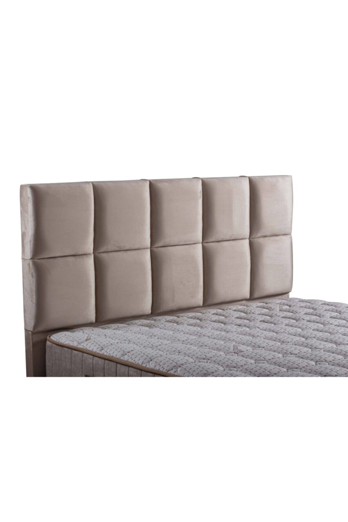 SLEEPBUCKS Lucid Başlık Baza Başlığı Krem