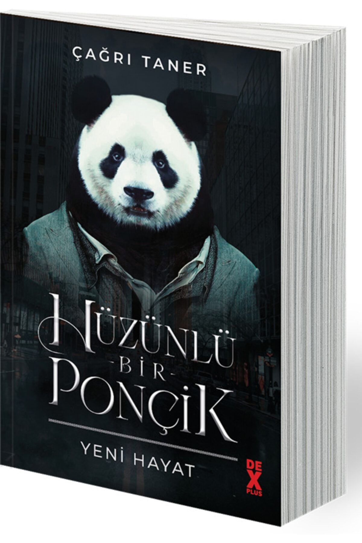 Doğan Egmont Hüzünlü Bir Ponçik