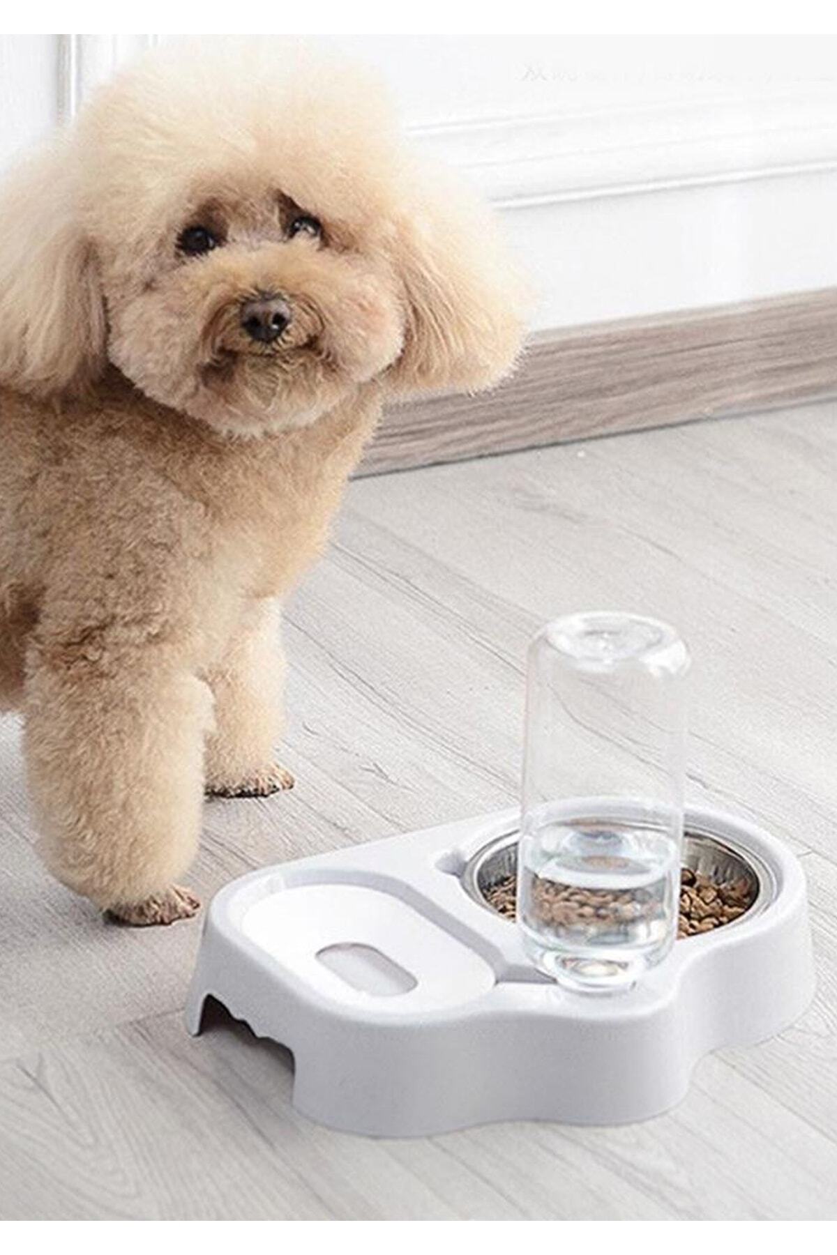 Kamardey Kedi Ve Küçük Irk Köpek Için Mama Ve Otomatik Su Kabı 500 Ml