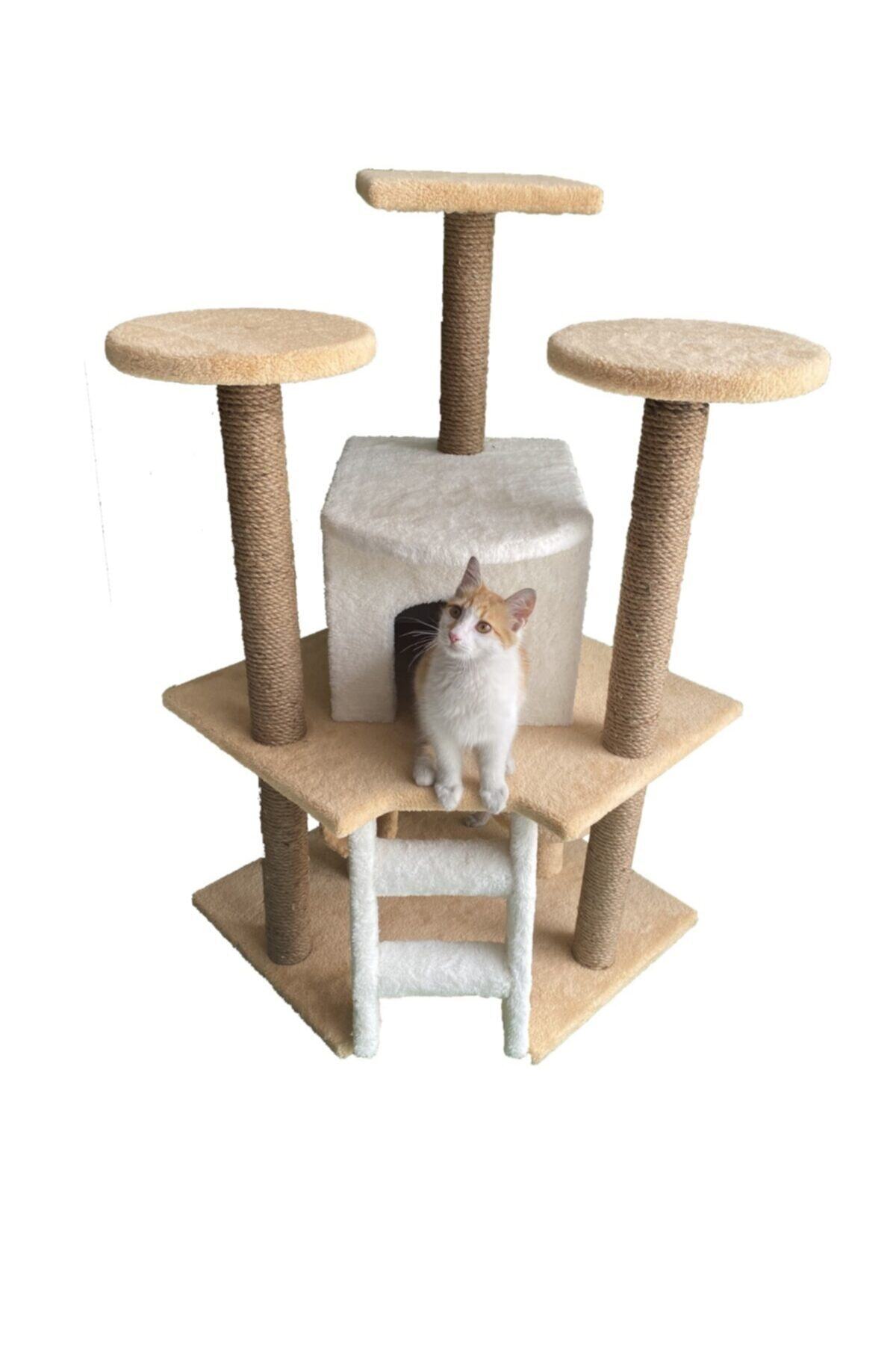 LILY Kt10 Kedi Evi Ve Tırmalama