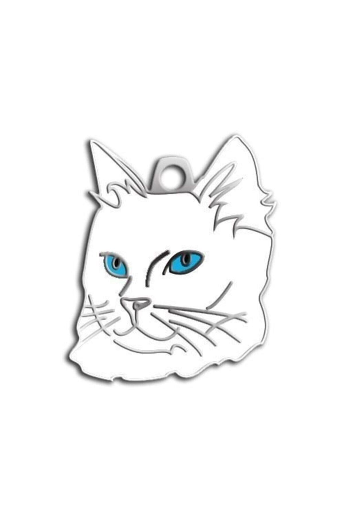 altın pati Mavi Gözlü Van Kedisi Kedi Künyesi