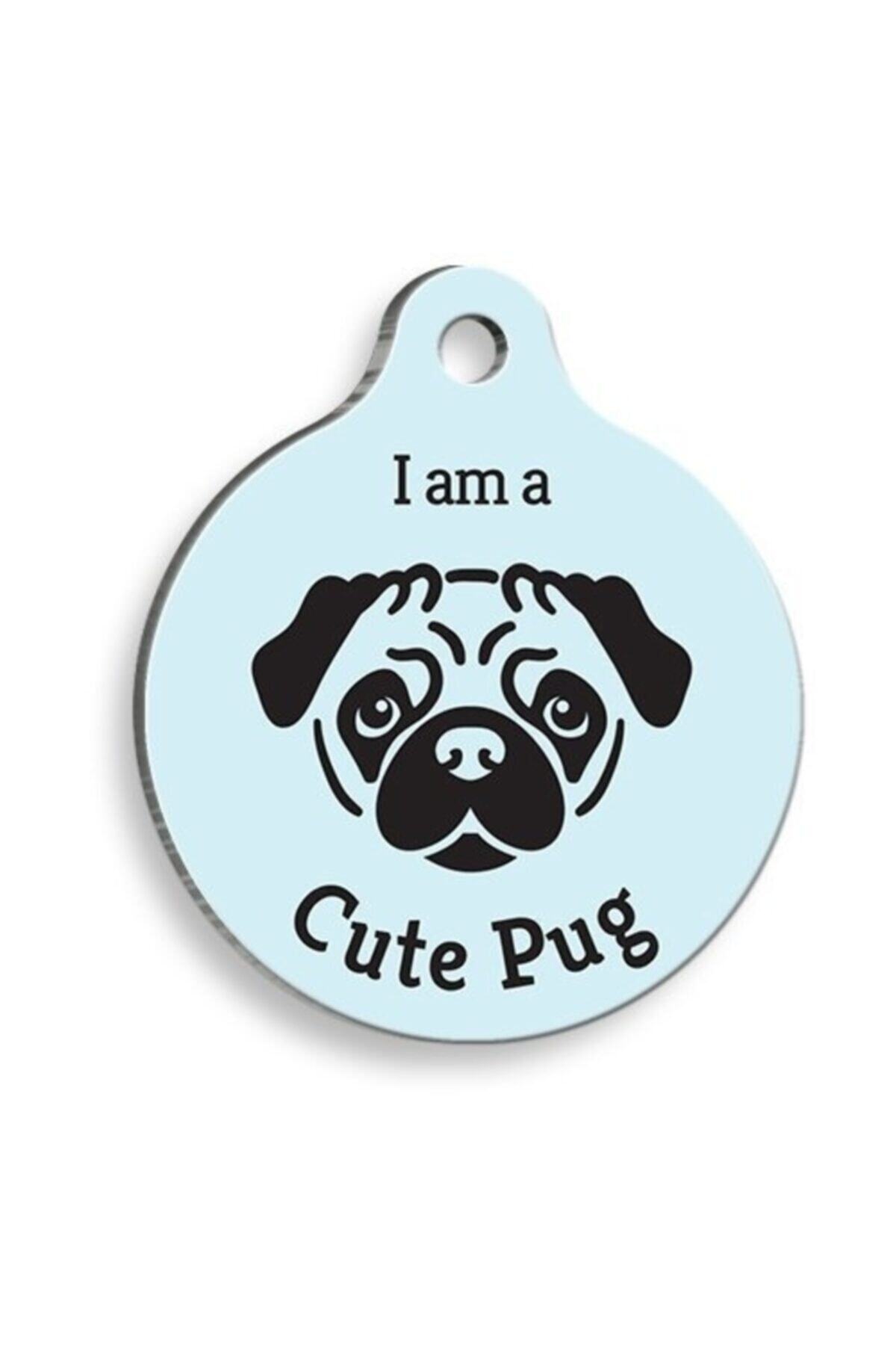 altın pati Mavi Pug Yuvarlak Köpek Künyesi