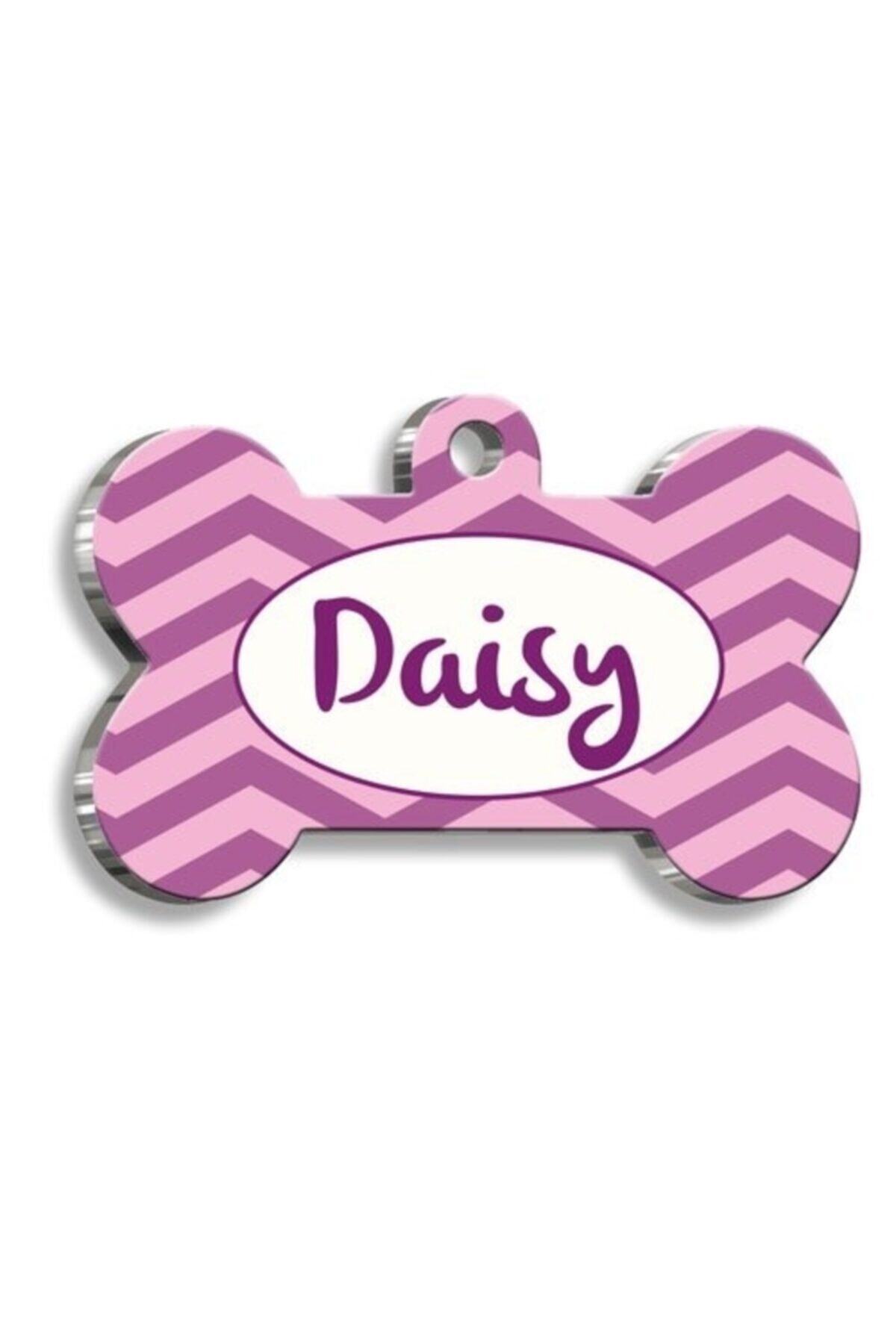 altın pati Pembe Mor Zikzaklı Kedi Köpek Künyesi
