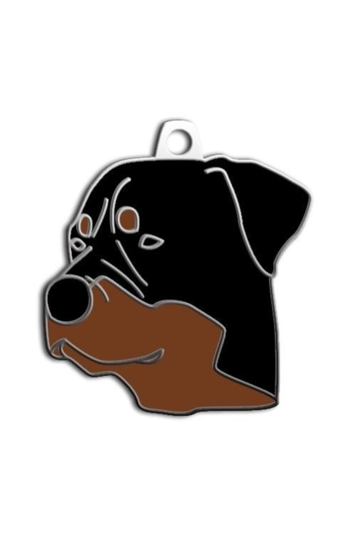 altın pati Rottweiler Köpek Künyesi