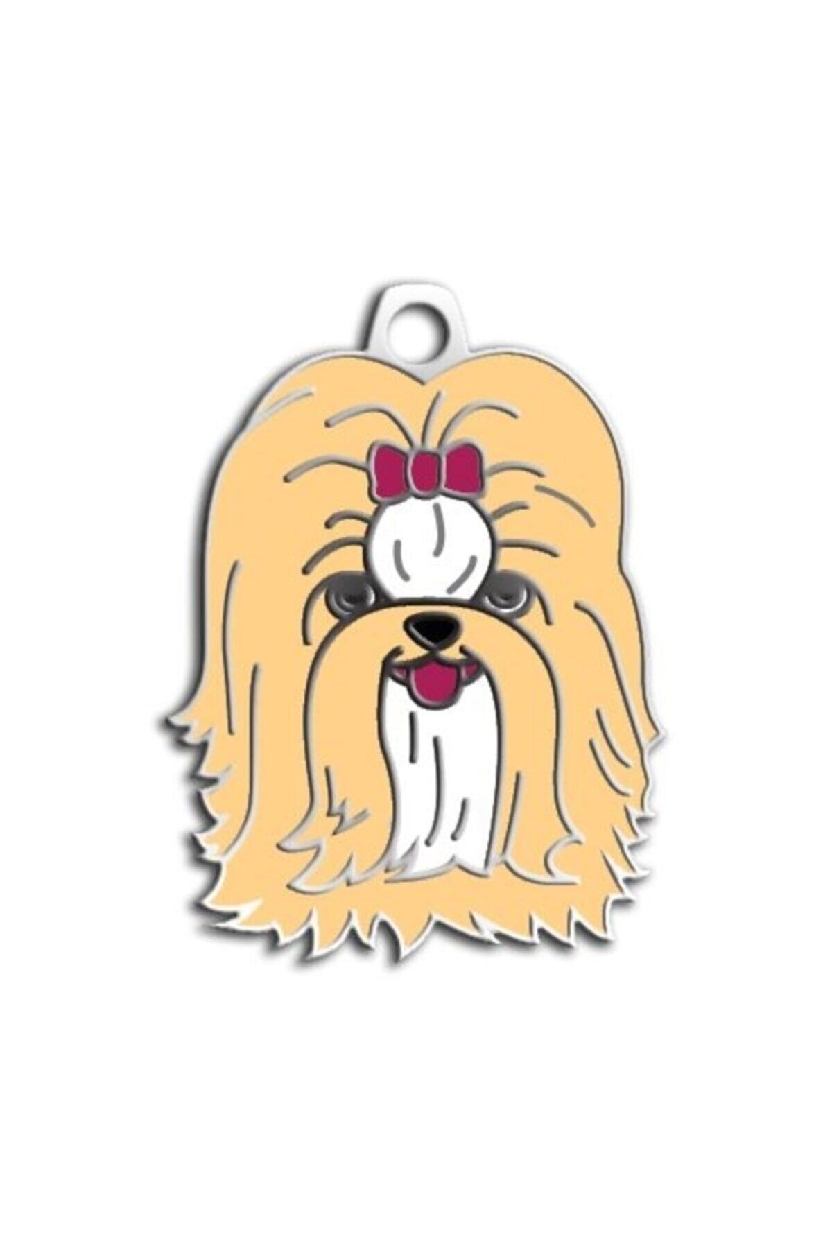 altın pati Shih-tzu Köpek Künyesi (krem)