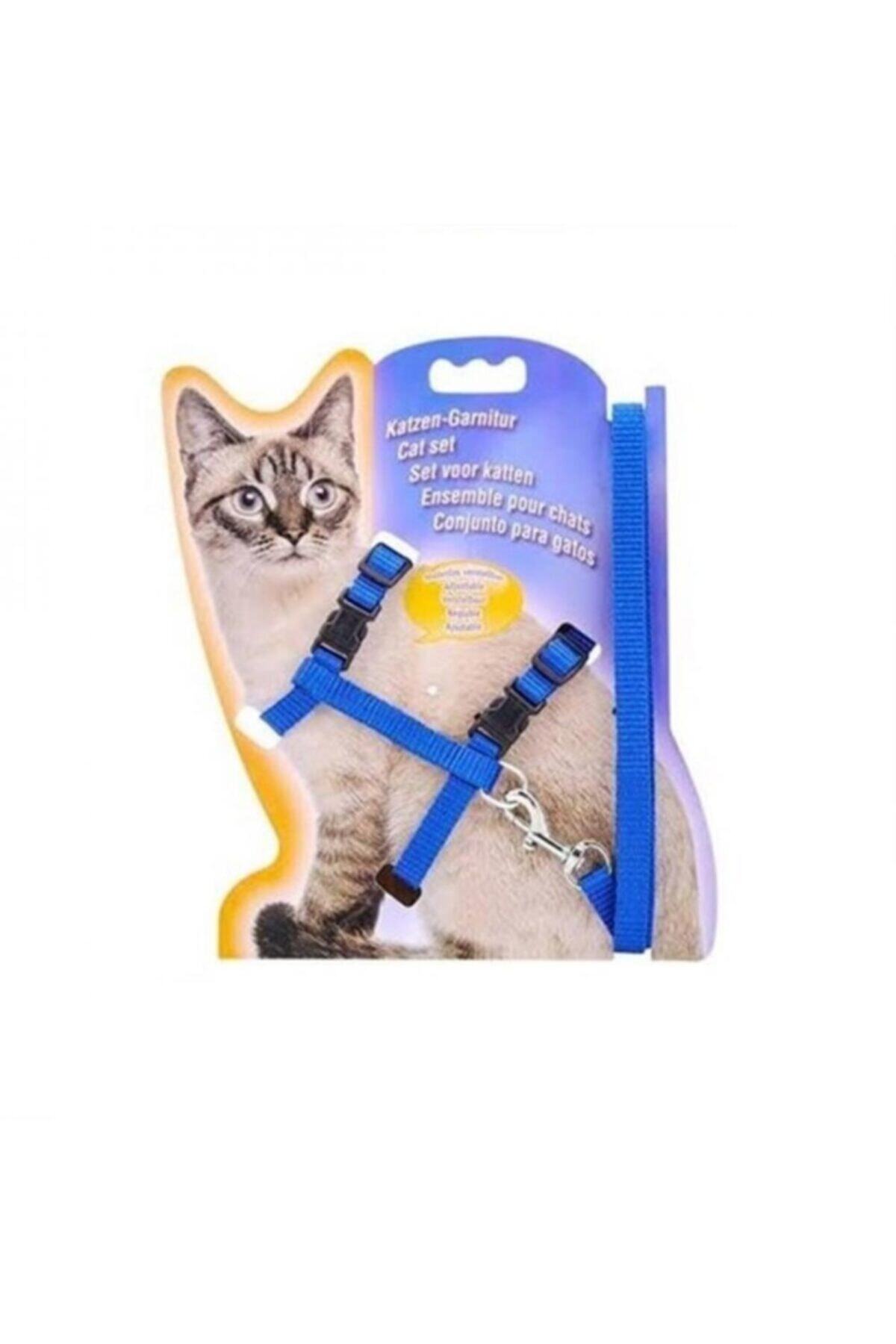 Lisinya Ayarlanabilir Kedi Tasması