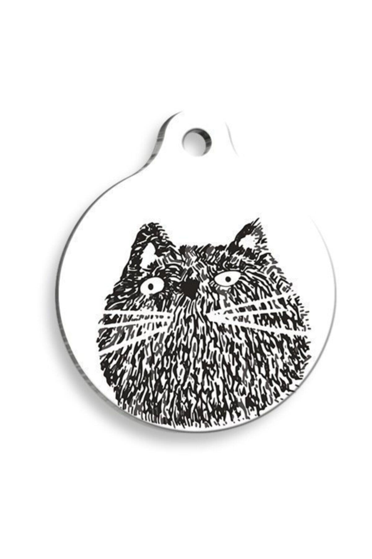 altın pati Şaşkın Kedi Yuvarlak Kedi Künyesi