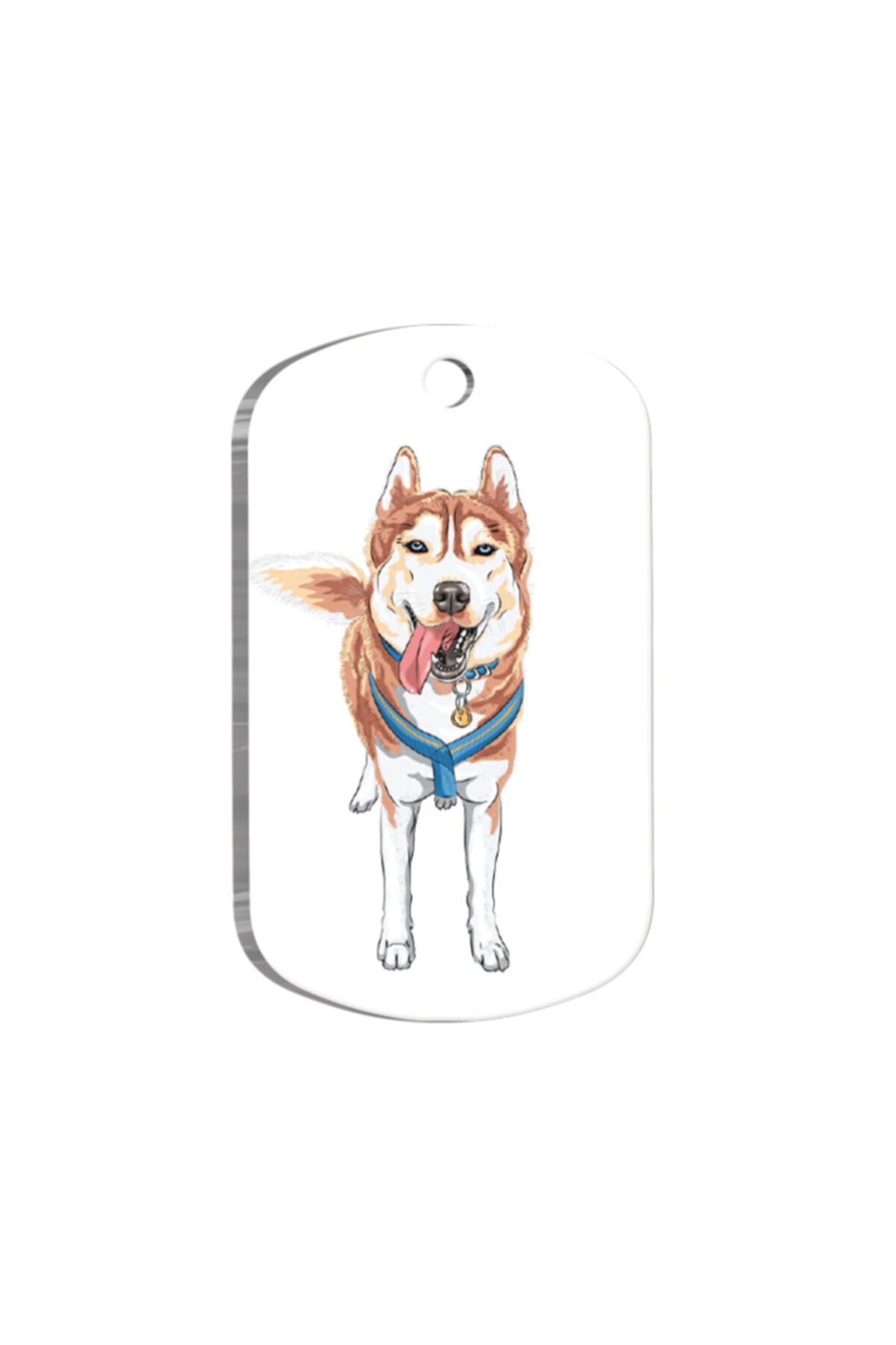 altın pati Siberian Husky Resimli Köpek Künyesi