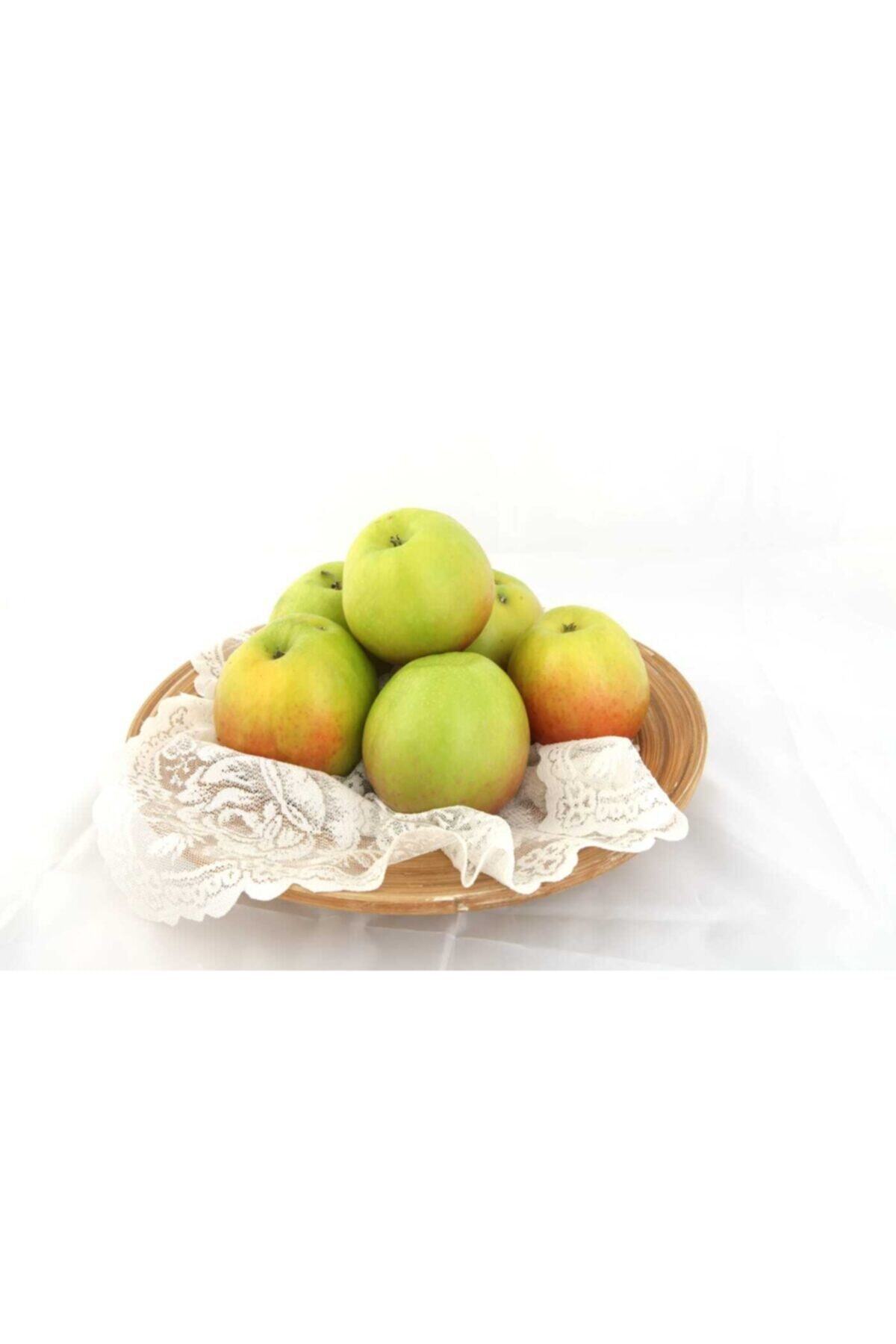 yenice organik Yeşil Elma Granny Smith Elma