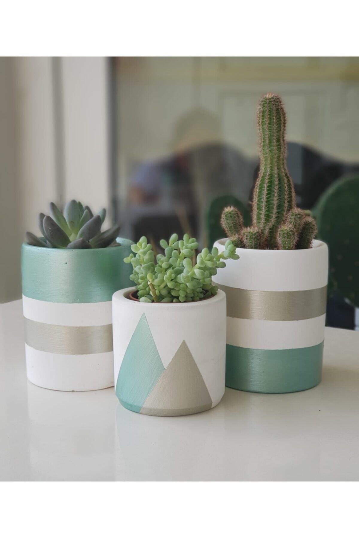 TAŞ DEVRİ HEDİYELİK Beyaz Gümüş Mint Yeşili Renk 3'lü Beton Saksı - Kaktüs Ve Sukulent Saksısı